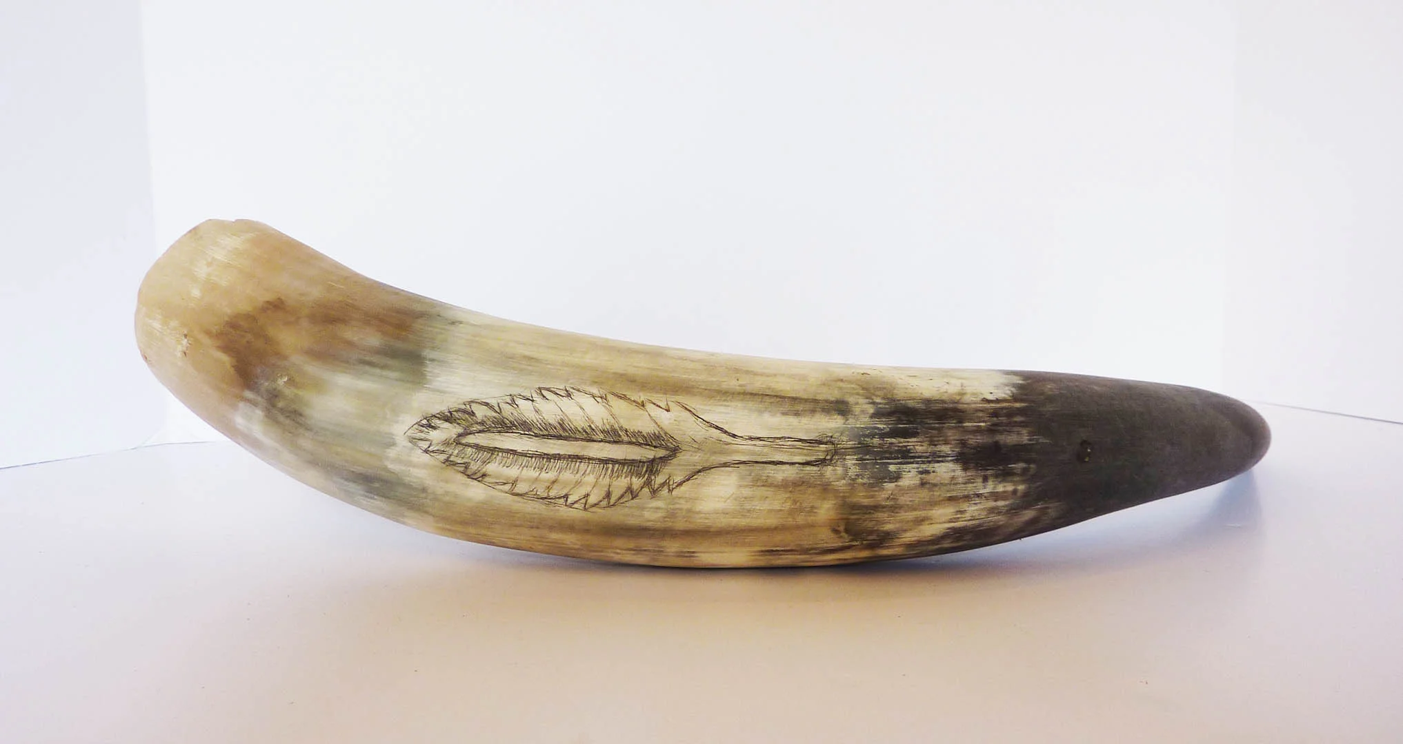 rara-avis-design-scrimshaw1.JPG