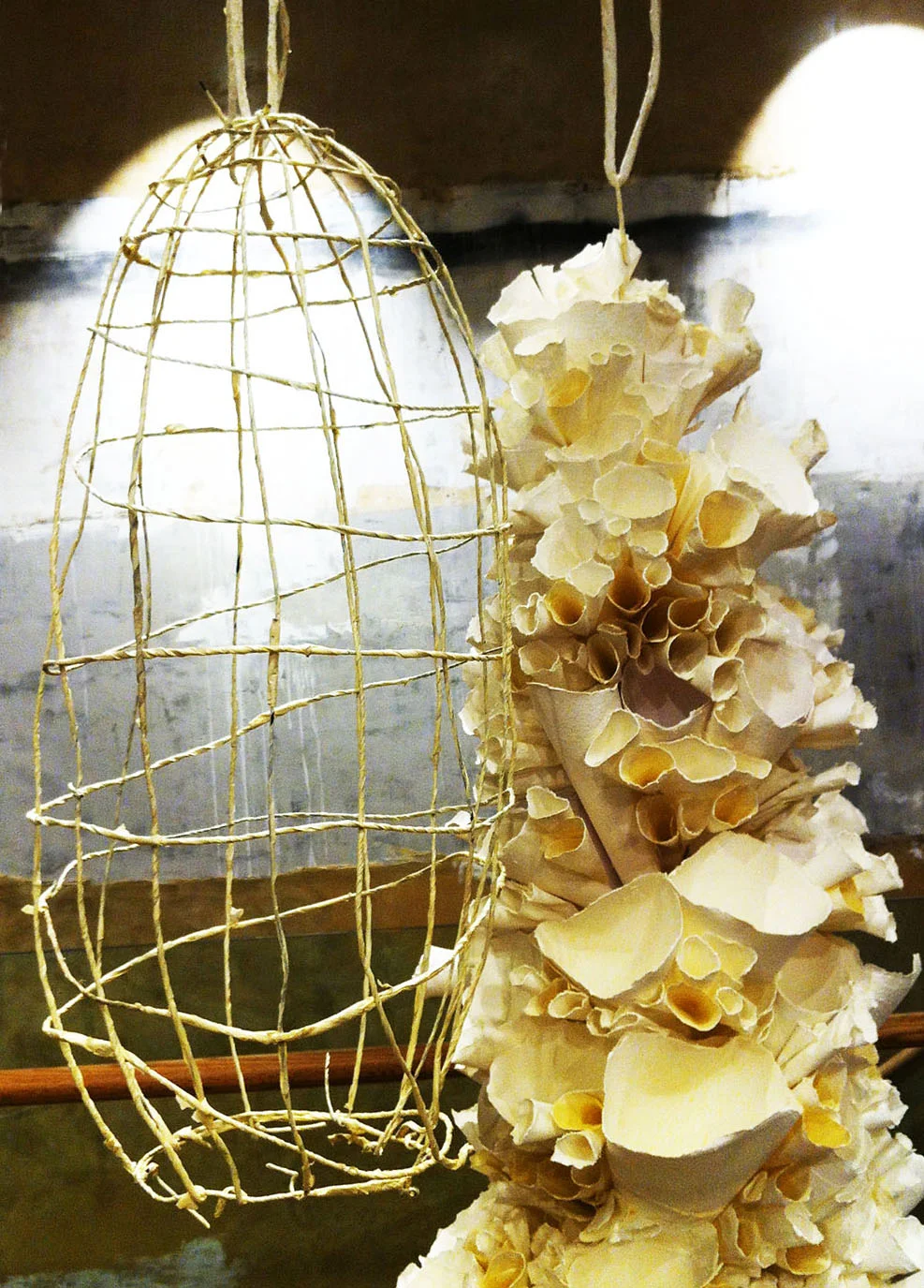 rara-avis-design-anthropologiei installation 1.jpg