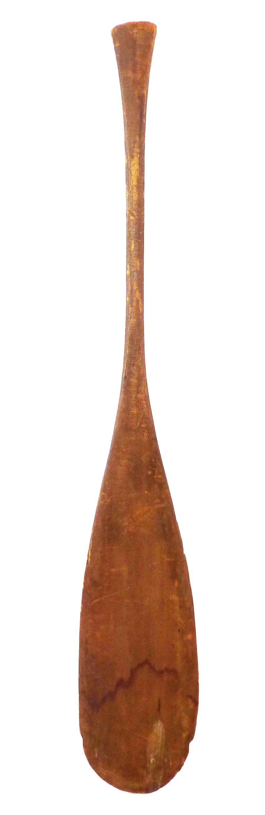 rara-avis-design-oar4.JPG