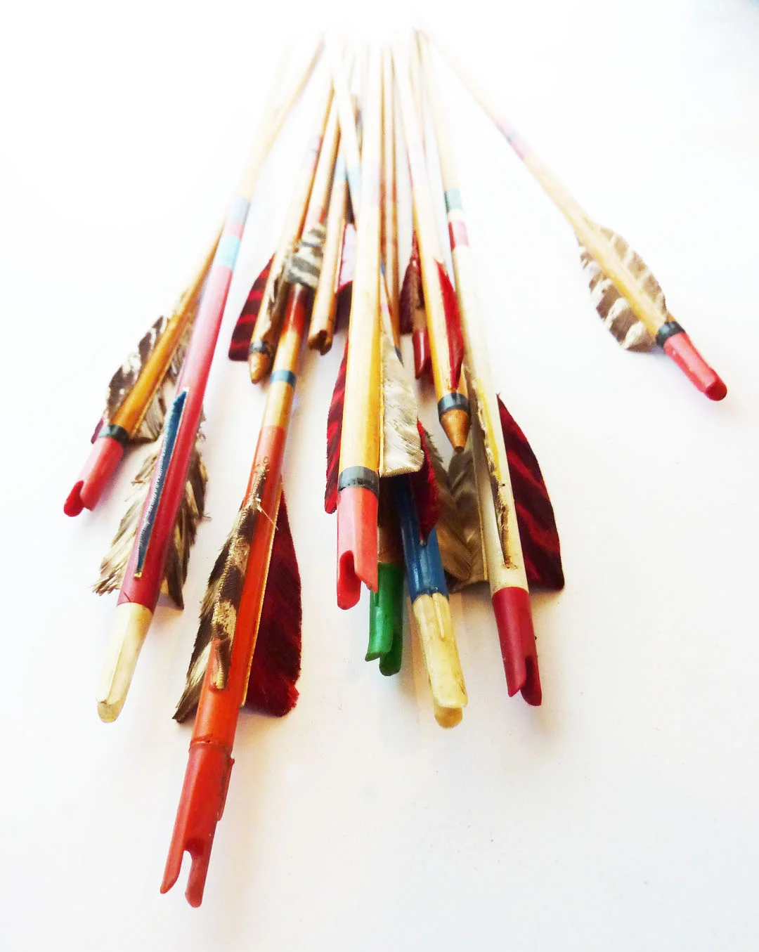rara-avis-design-arrows4.JPG