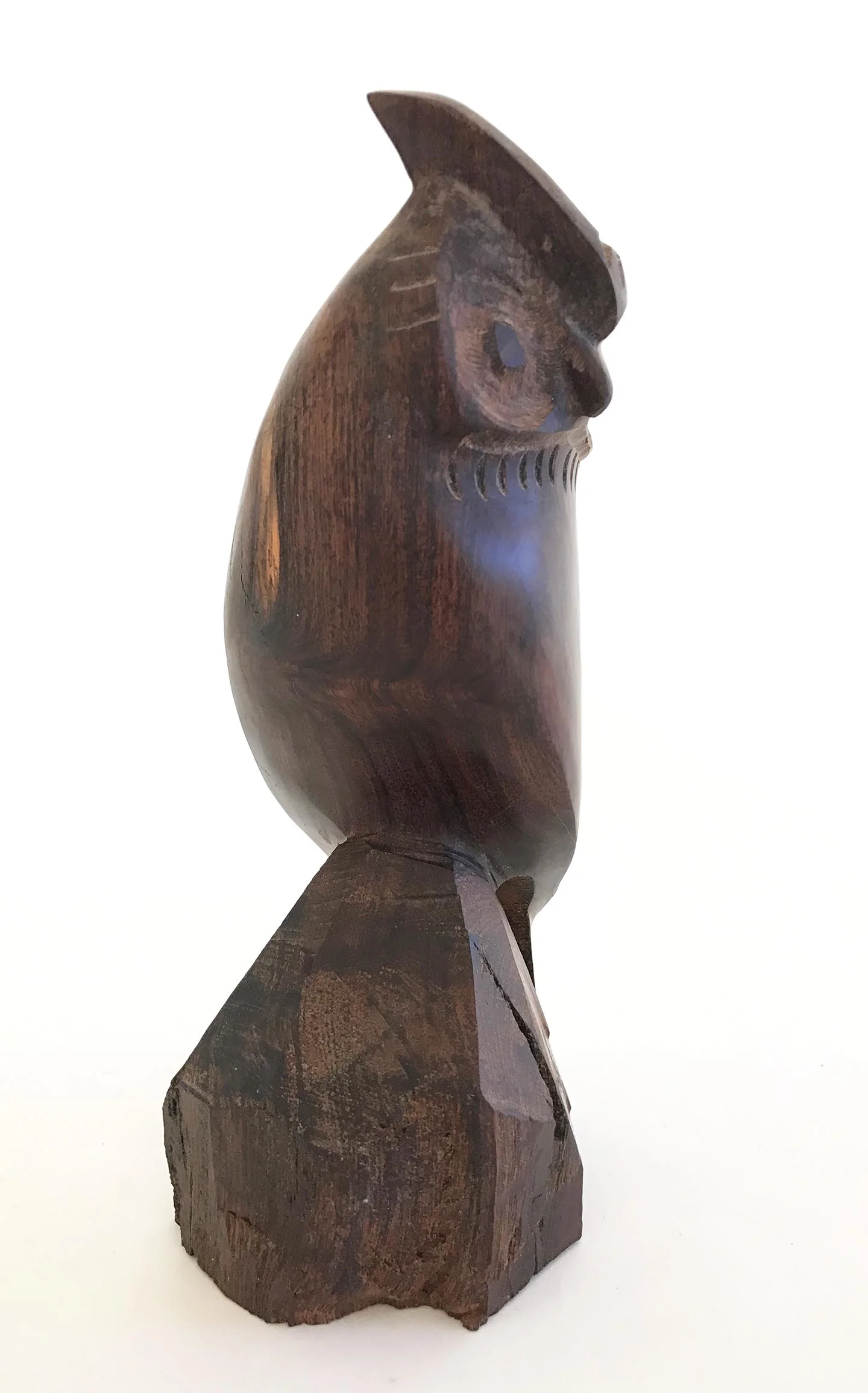 rara-avis-design-carvedowl2.jpg