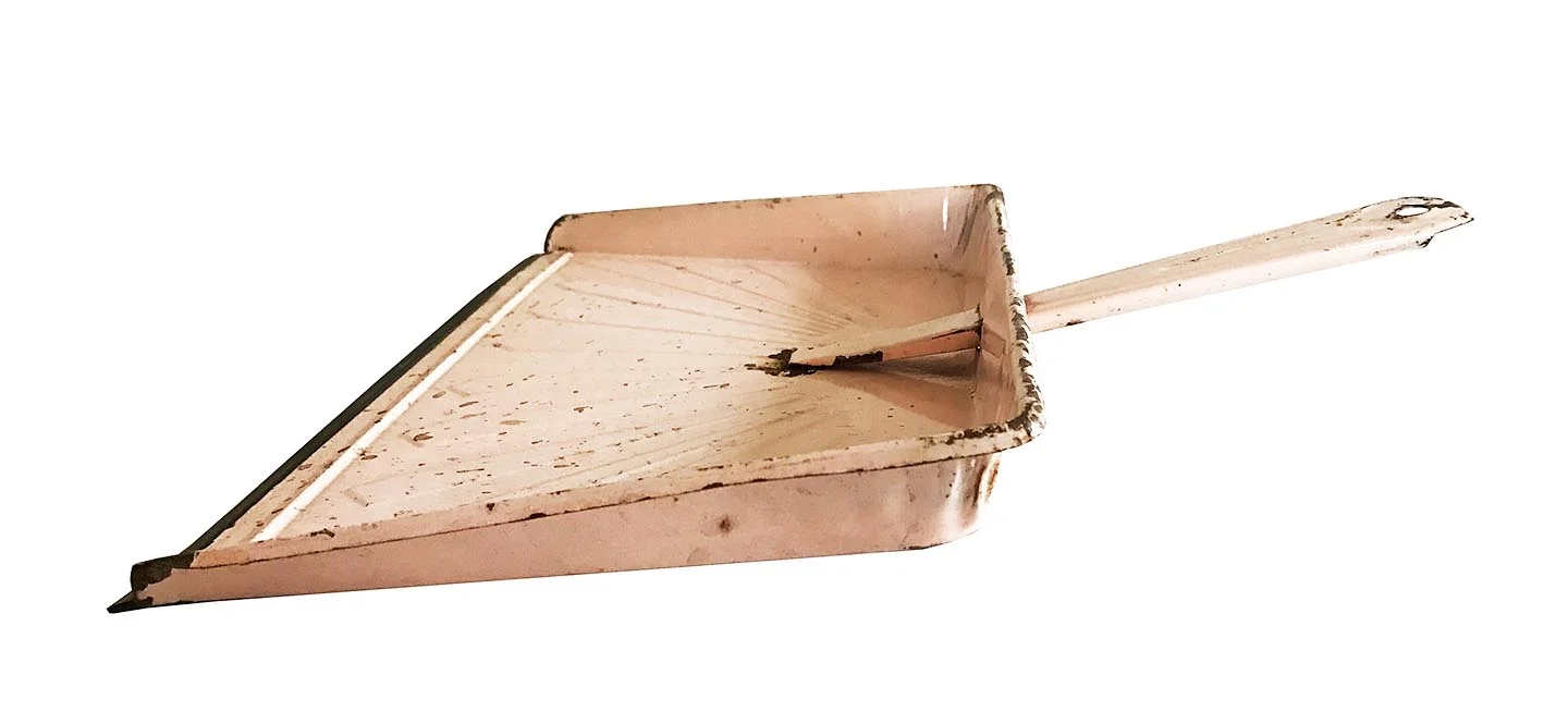rara-avis-design-dustpan4.jpg