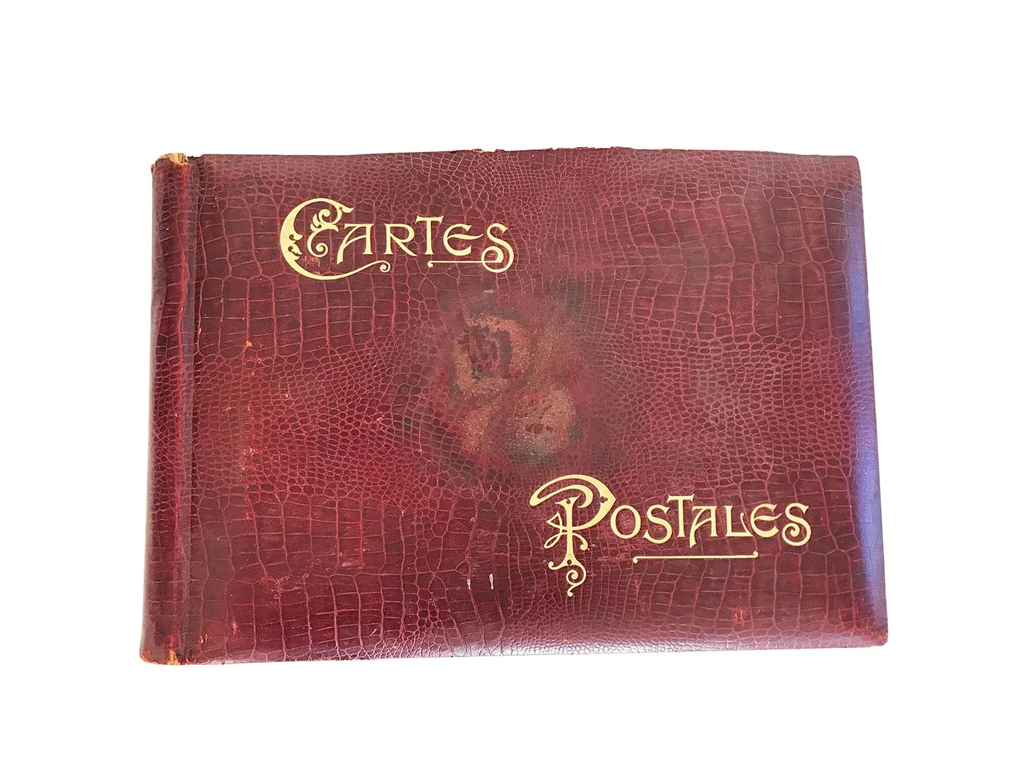 rara-avis-design-cartepostal1.jpg