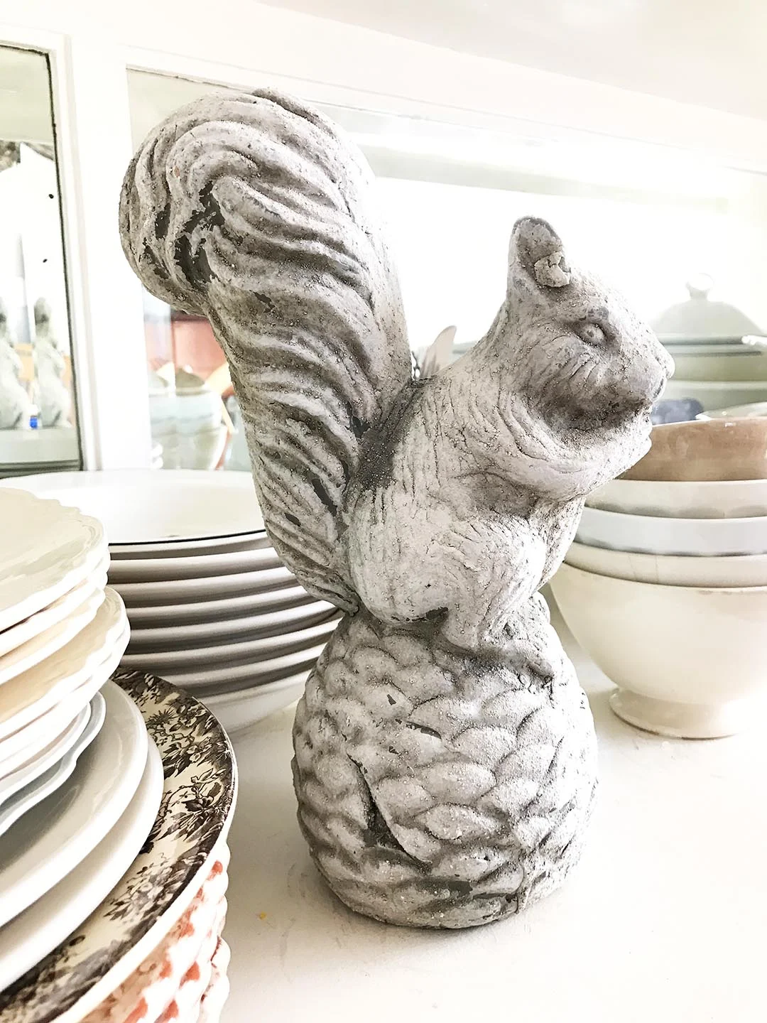 rara-avis-design squirrel 5.jpg