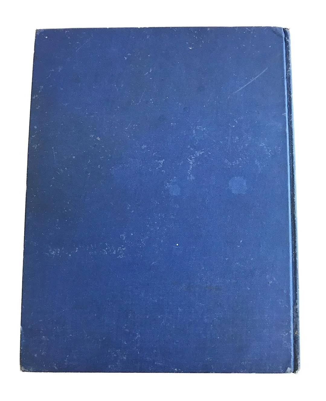 rara-avis-design-book5.jpg