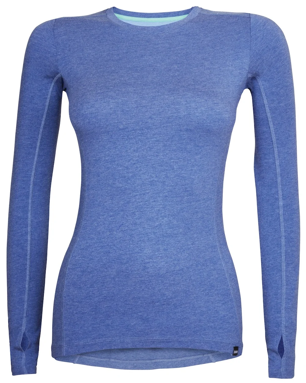 The base layer in hyacinth