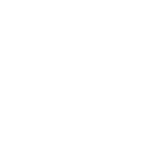 Logo_Ekstasy (00000).png