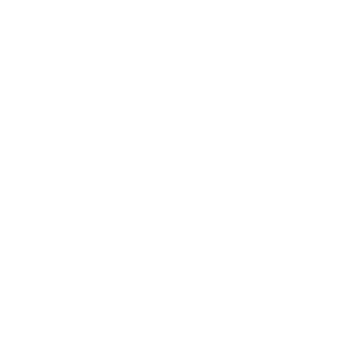 Logo_Envy (00000).png