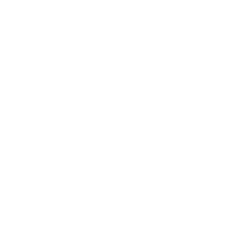 Logo_Nike (00000).png