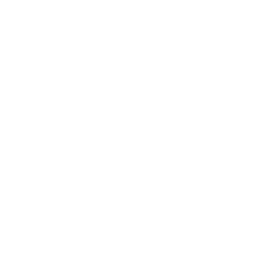 Logo_Rapp (00000).png