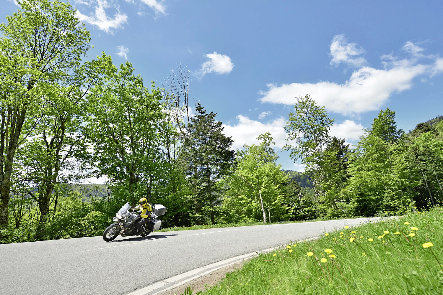 Vosges021.jpg