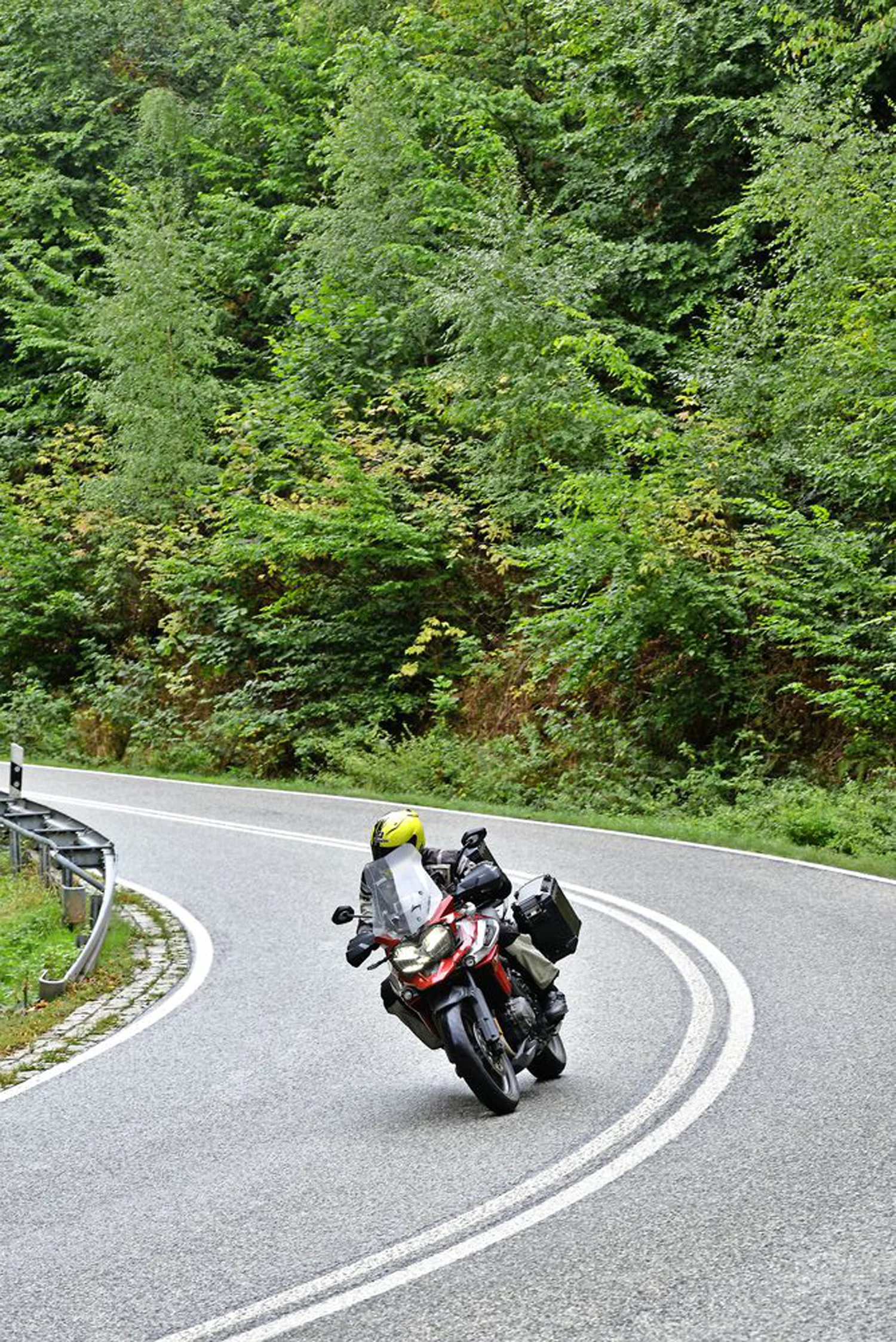 One of the biggest culture shocks is the number of trees you’ll find yourself riding between