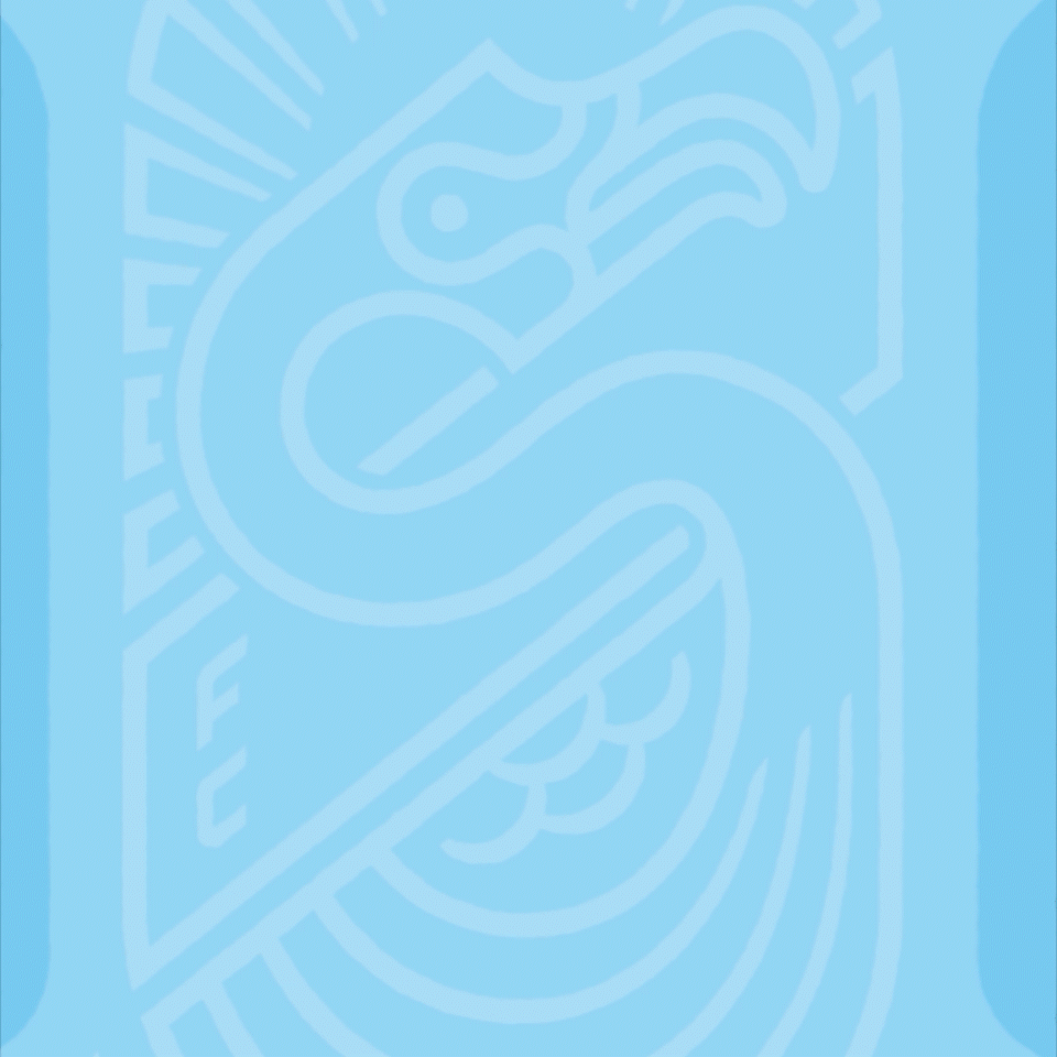 3_Forward Madison Social_1x1.gif