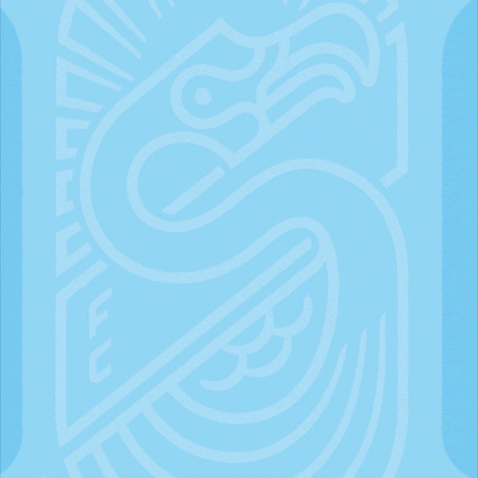 4_Forward Madison Social_1x1.gif