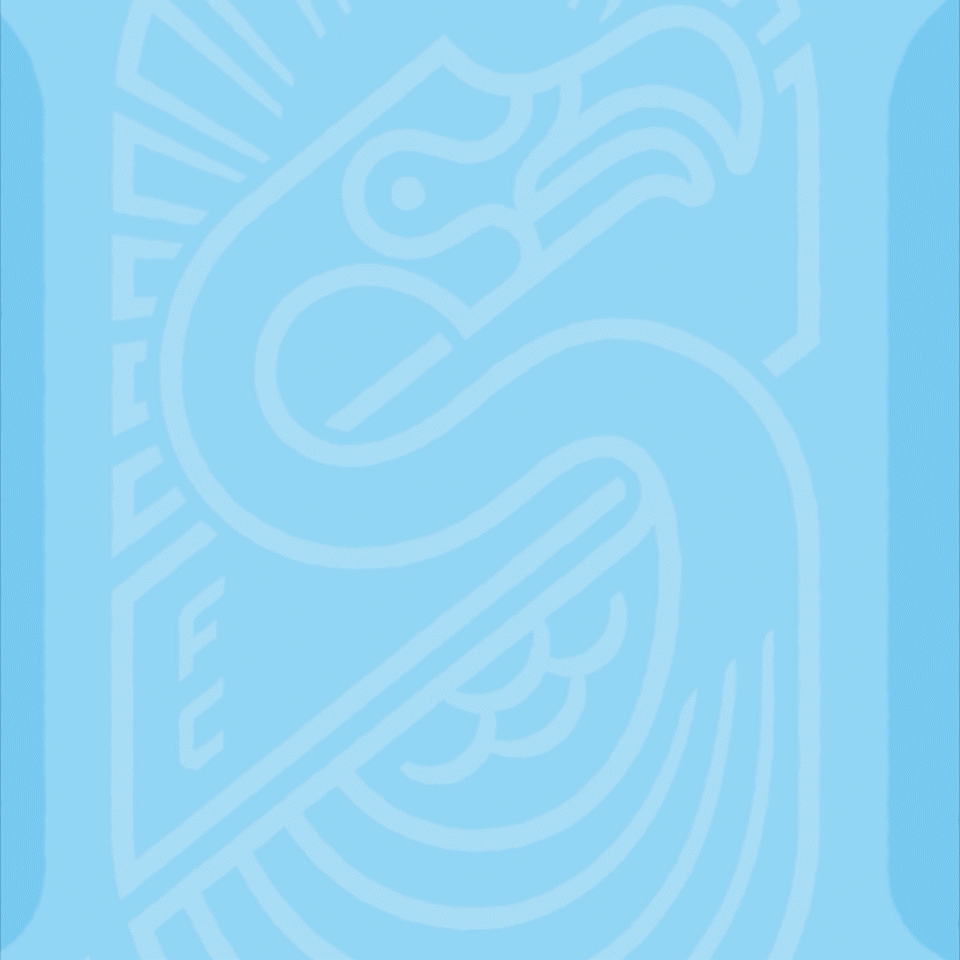 5_Forward Madison Social_1x1.gif