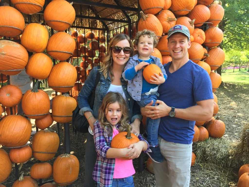 give your 3 year old a pumpkin, they said. It'll be PRECIOUS, they said. 