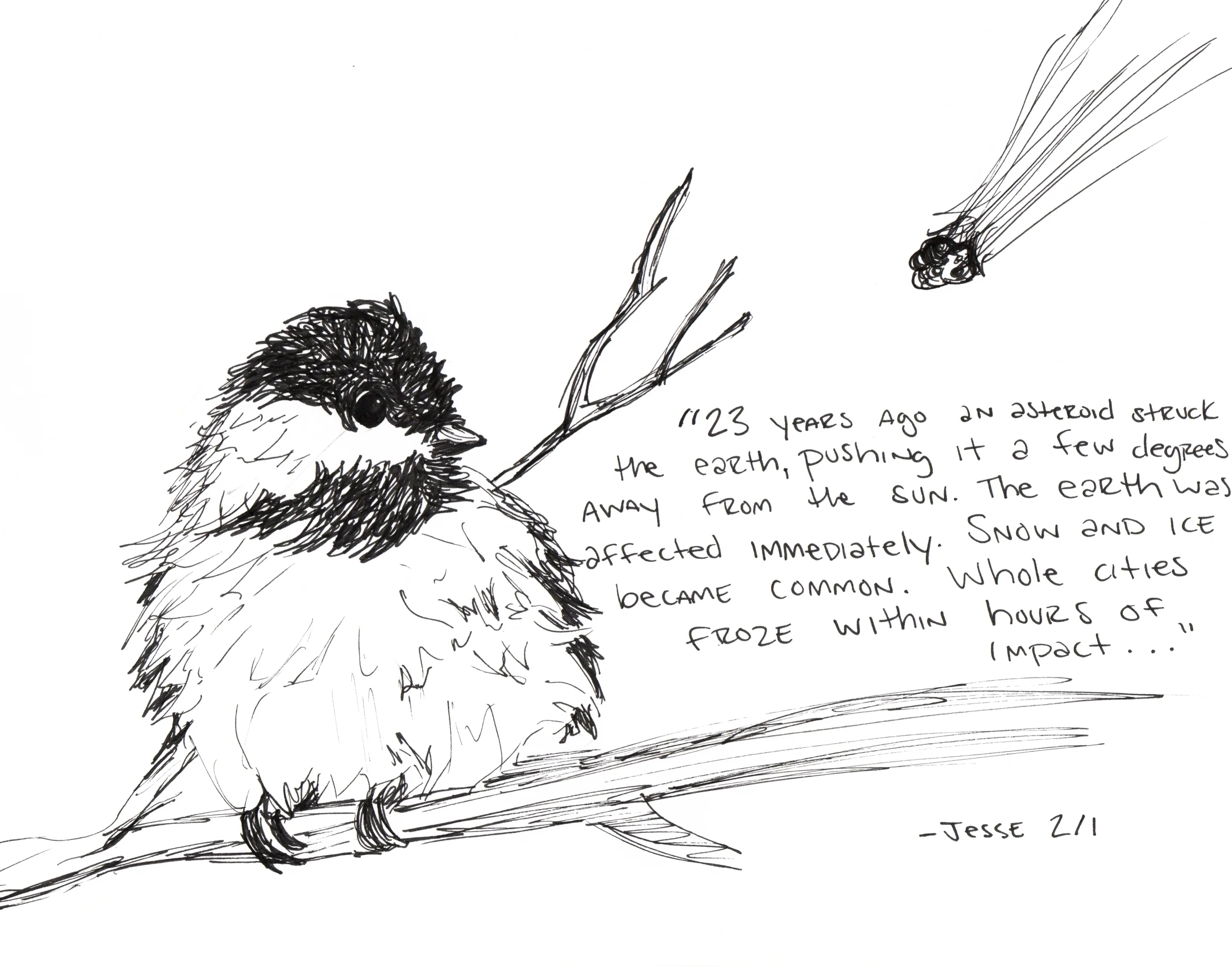 Bizarre is beautiful 