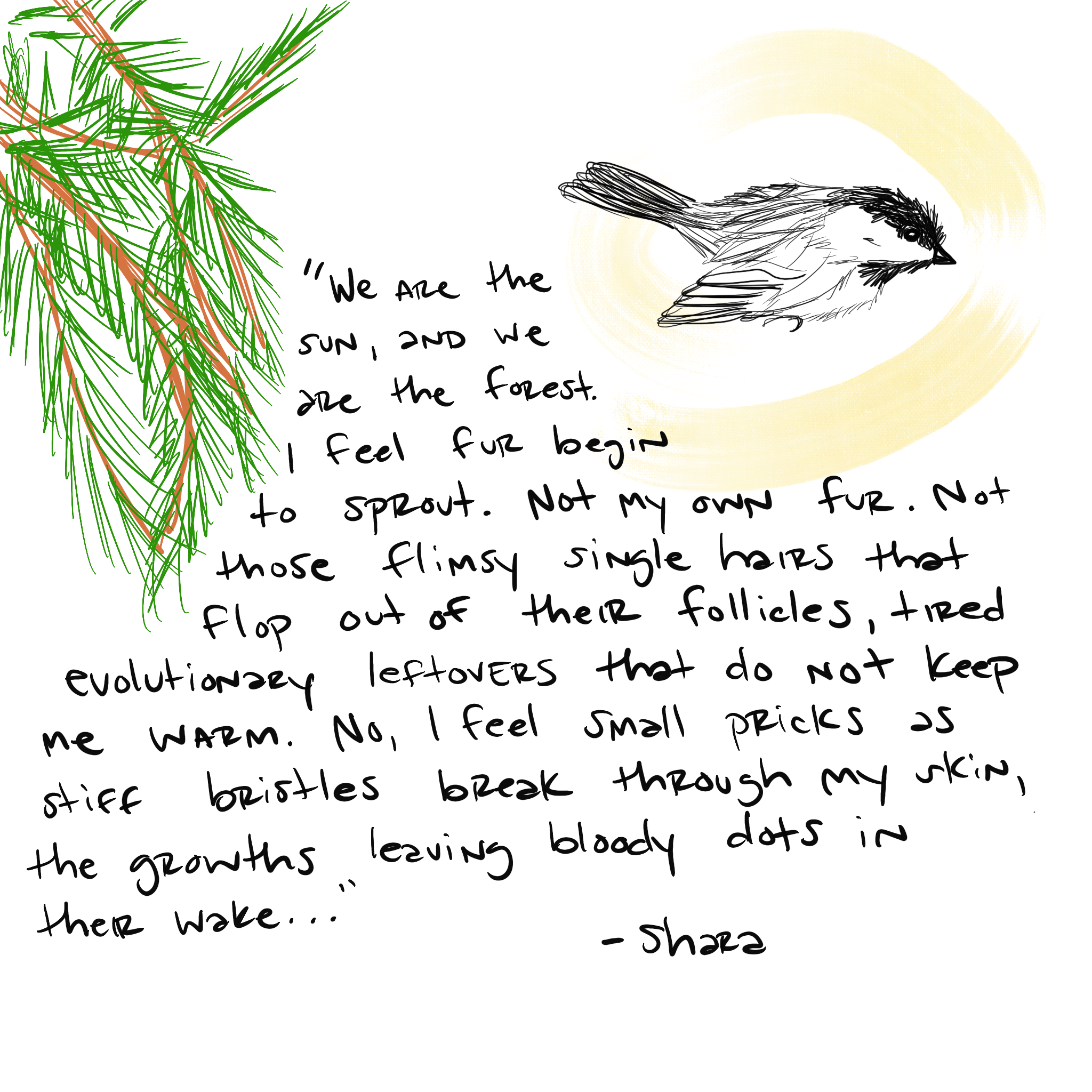 Fledgling beginnings 