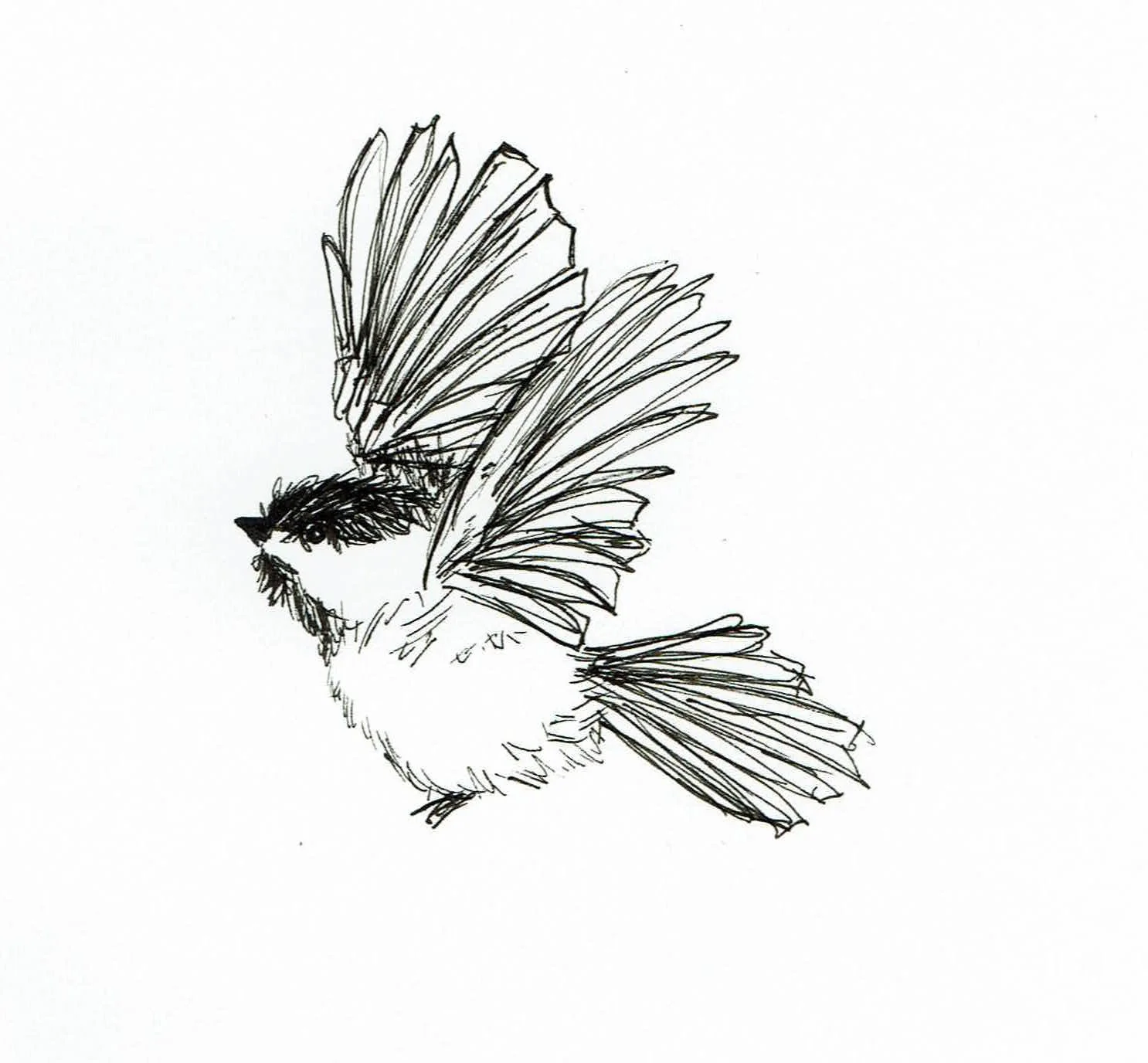 The Carrier Course (submissions workshop), Fall 2025 deposit ($100 of $250)