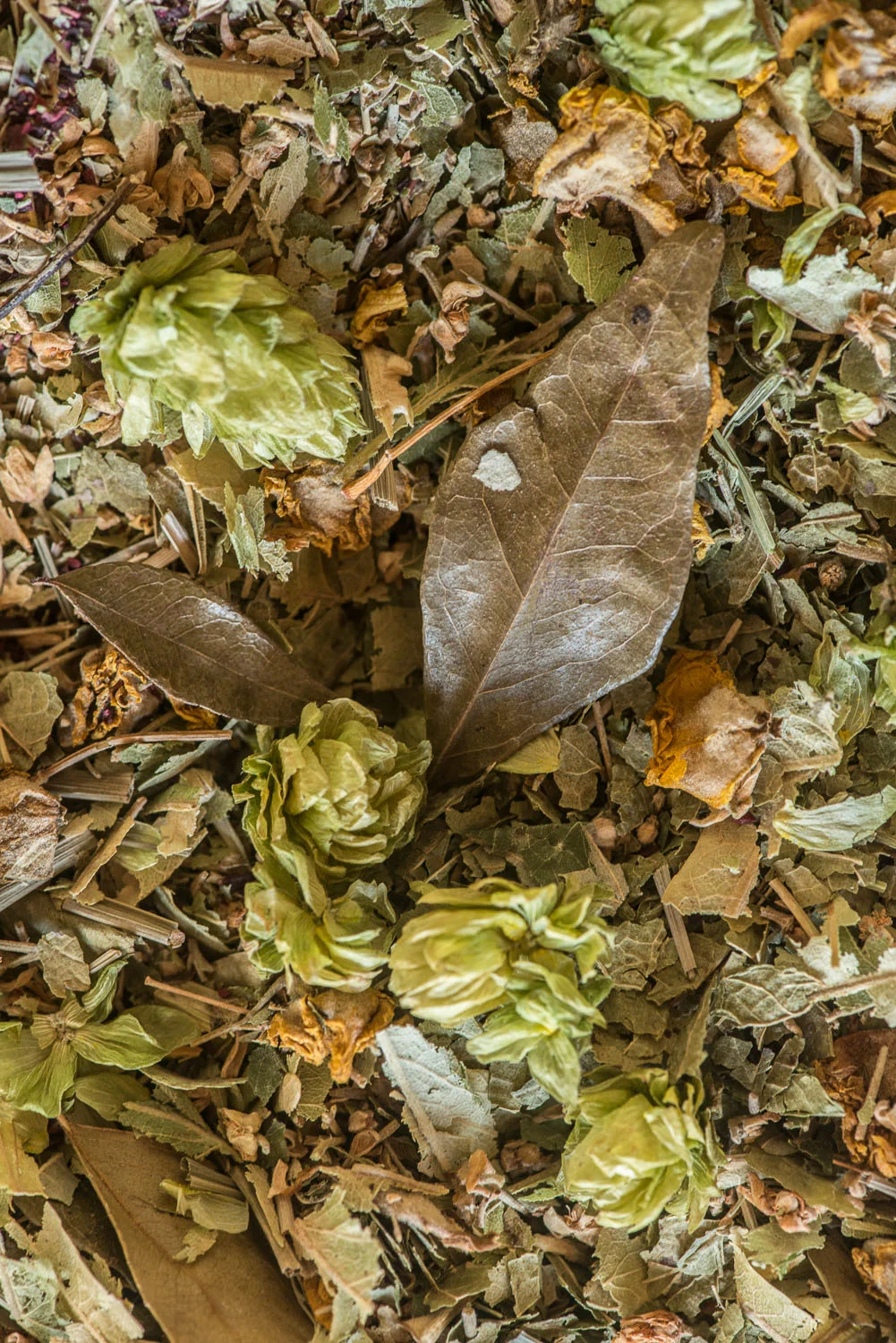 Garden-Tiger-Gin-Capreolus-Distillery-botanicals-fruit-Eaux-de-Vie-Eau-003.jpg