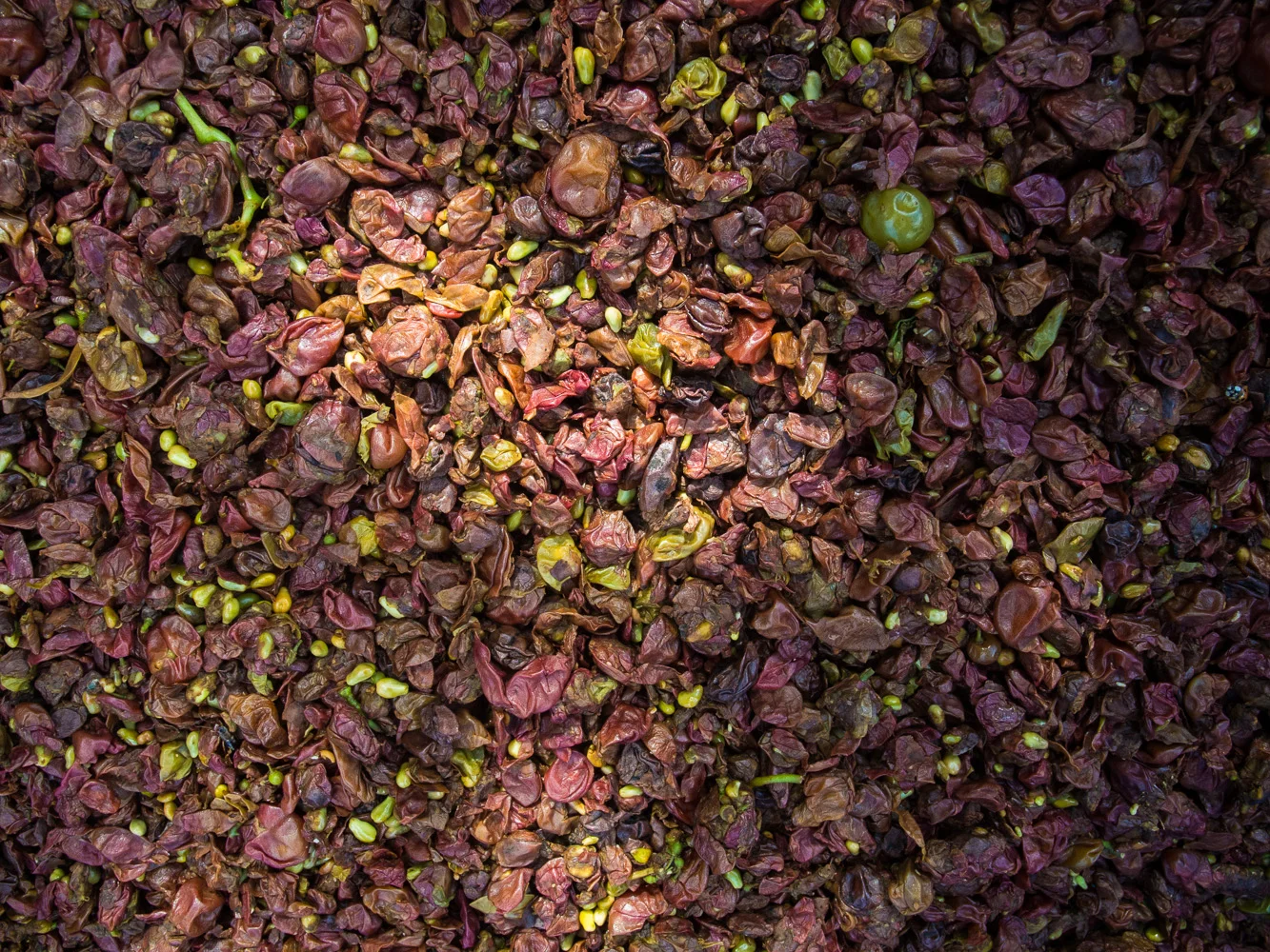 Capreolus-Distillery-Siegerrebe-grape-Eau-De-Vie-Eaux-Grappa-DSCN1097.jpg