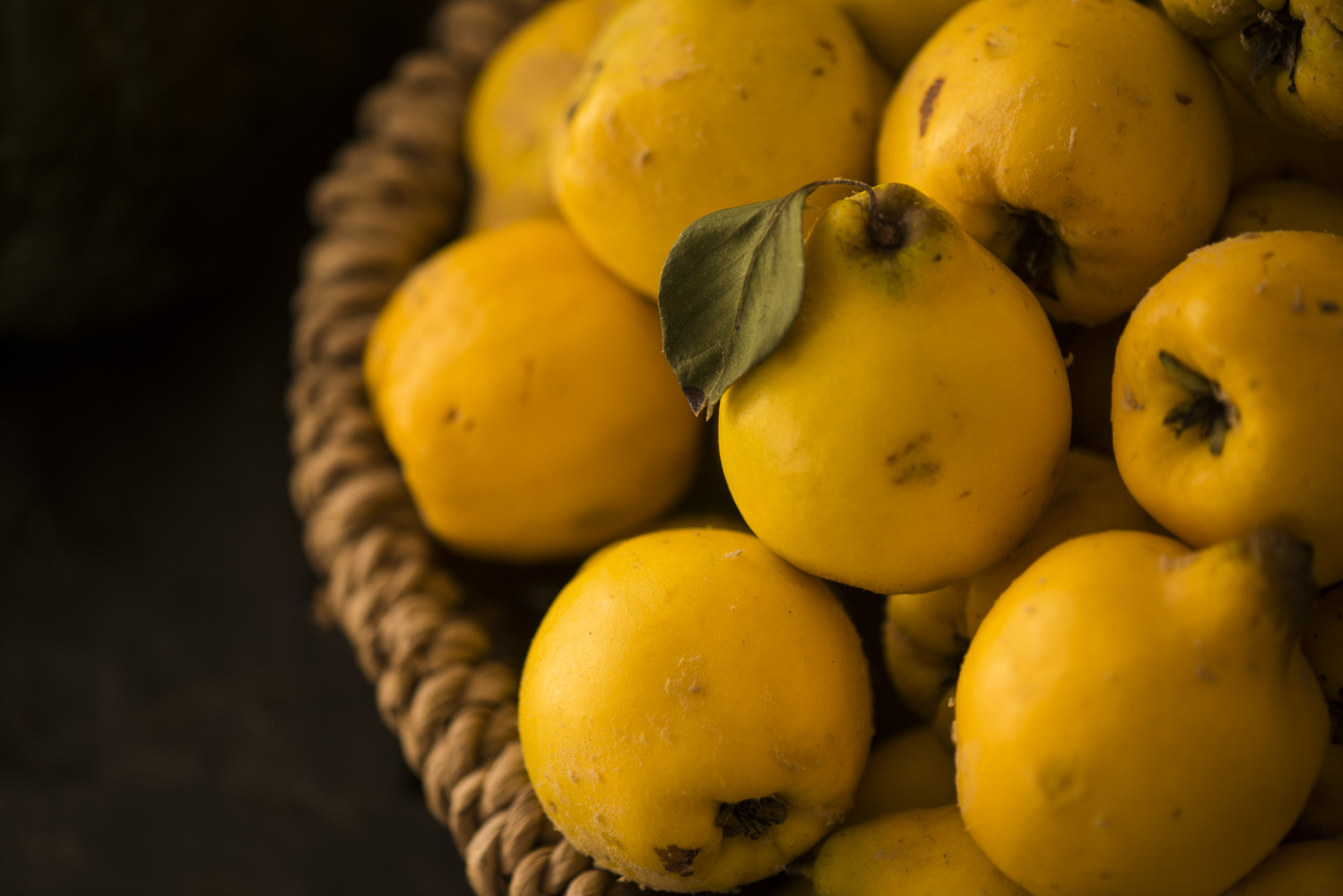 Capreolus-Distillery-quince-eau-de-vie-brandy-schnapps-edelbrand-_D802456.jpg