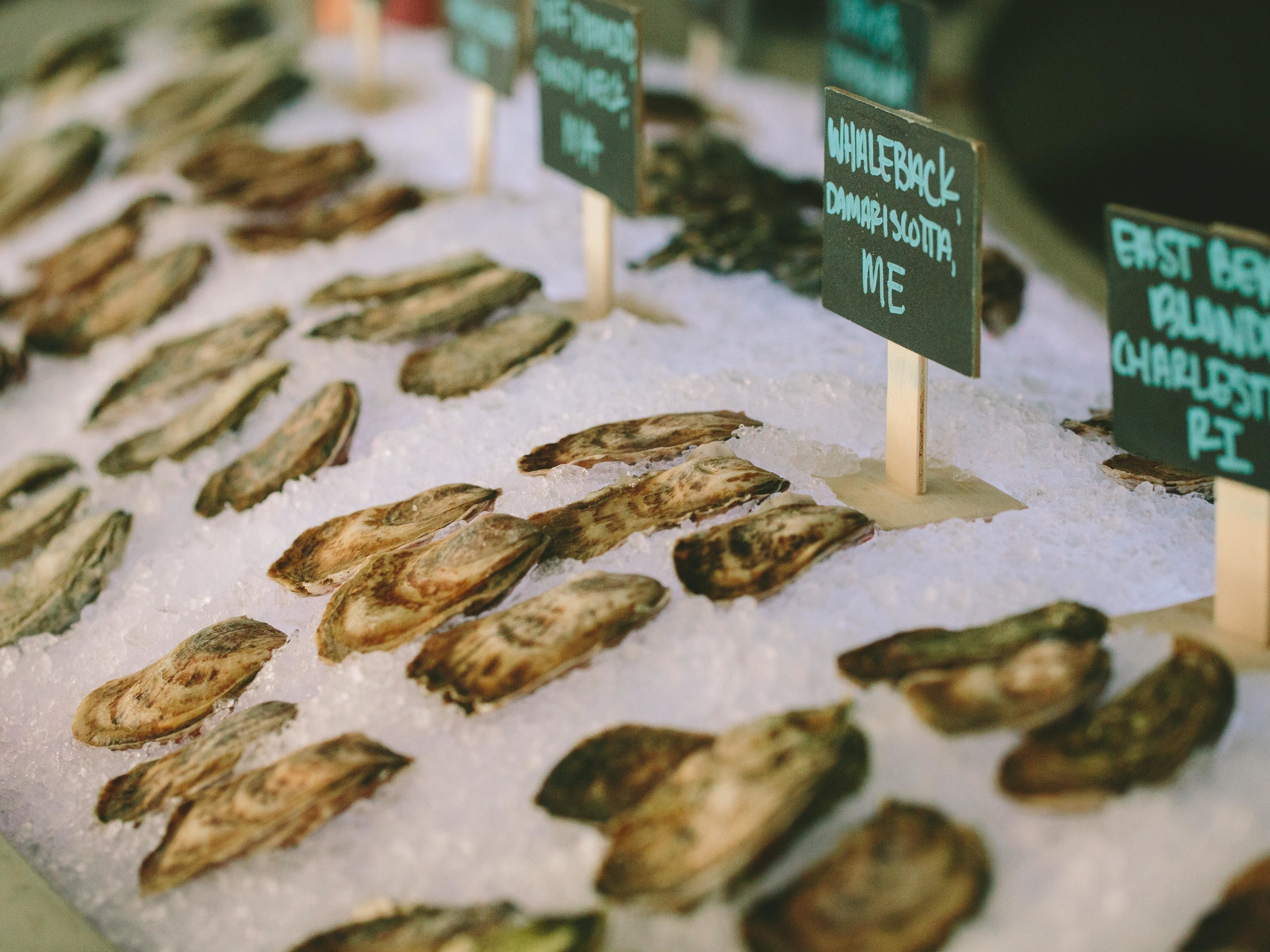 Silent Sunday The Franklin Oyster House (Portsmouth, NH) — A Thought
