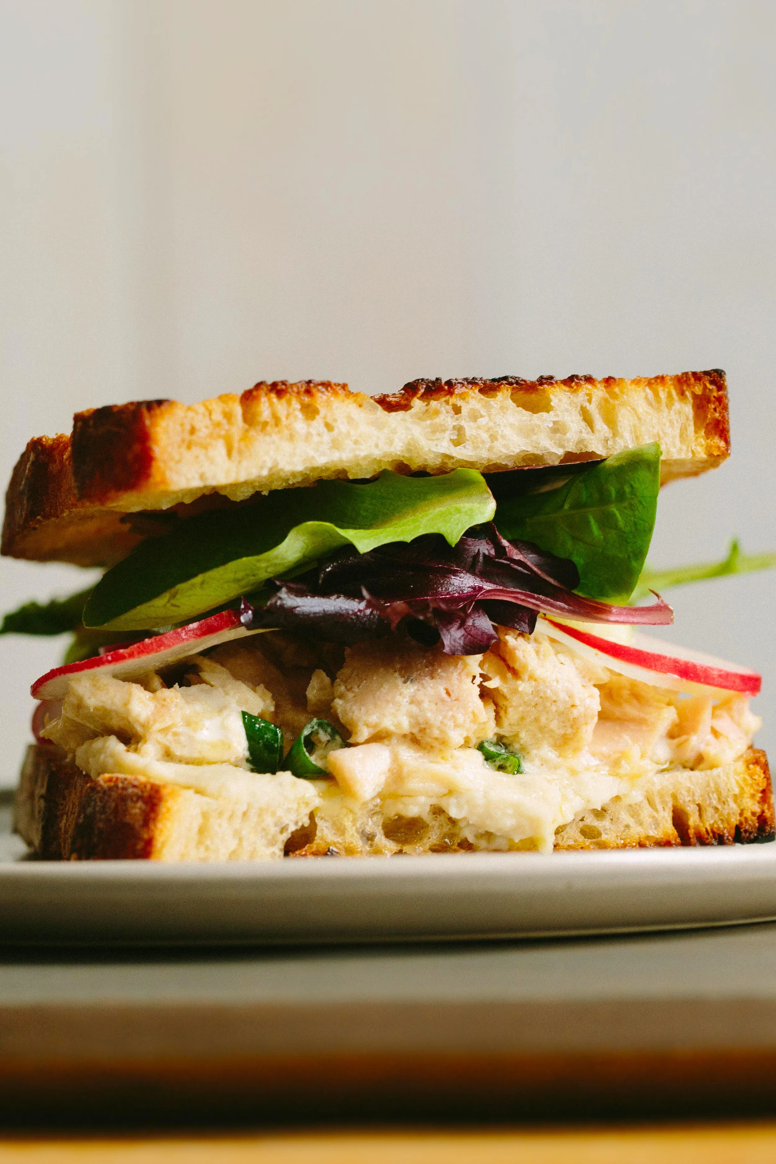 Tuna Sandwich with Pickled Radish, Fennel + White Bean Spread