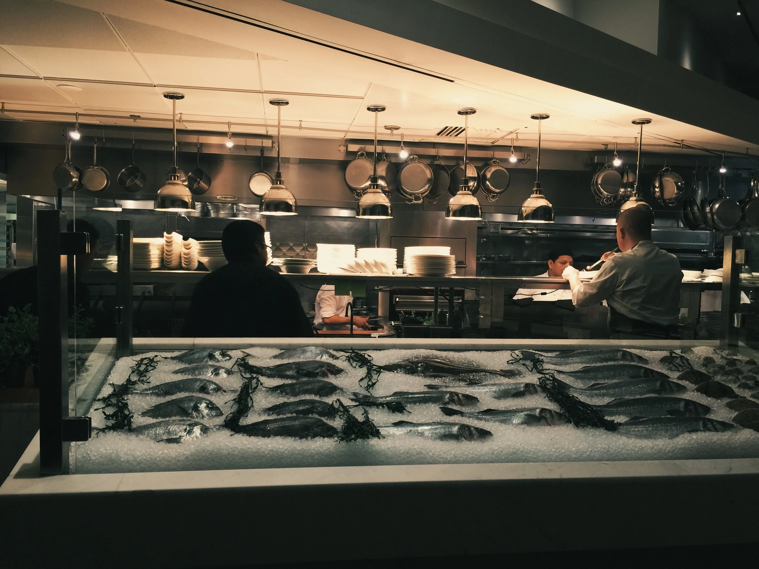 Why I Love Taking Pictures With My Phone (+ Some Tips): Part 2