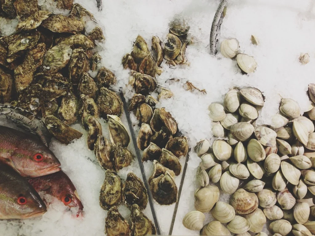 Seafood Display at Whole Foods (photography by Brian Samuels)