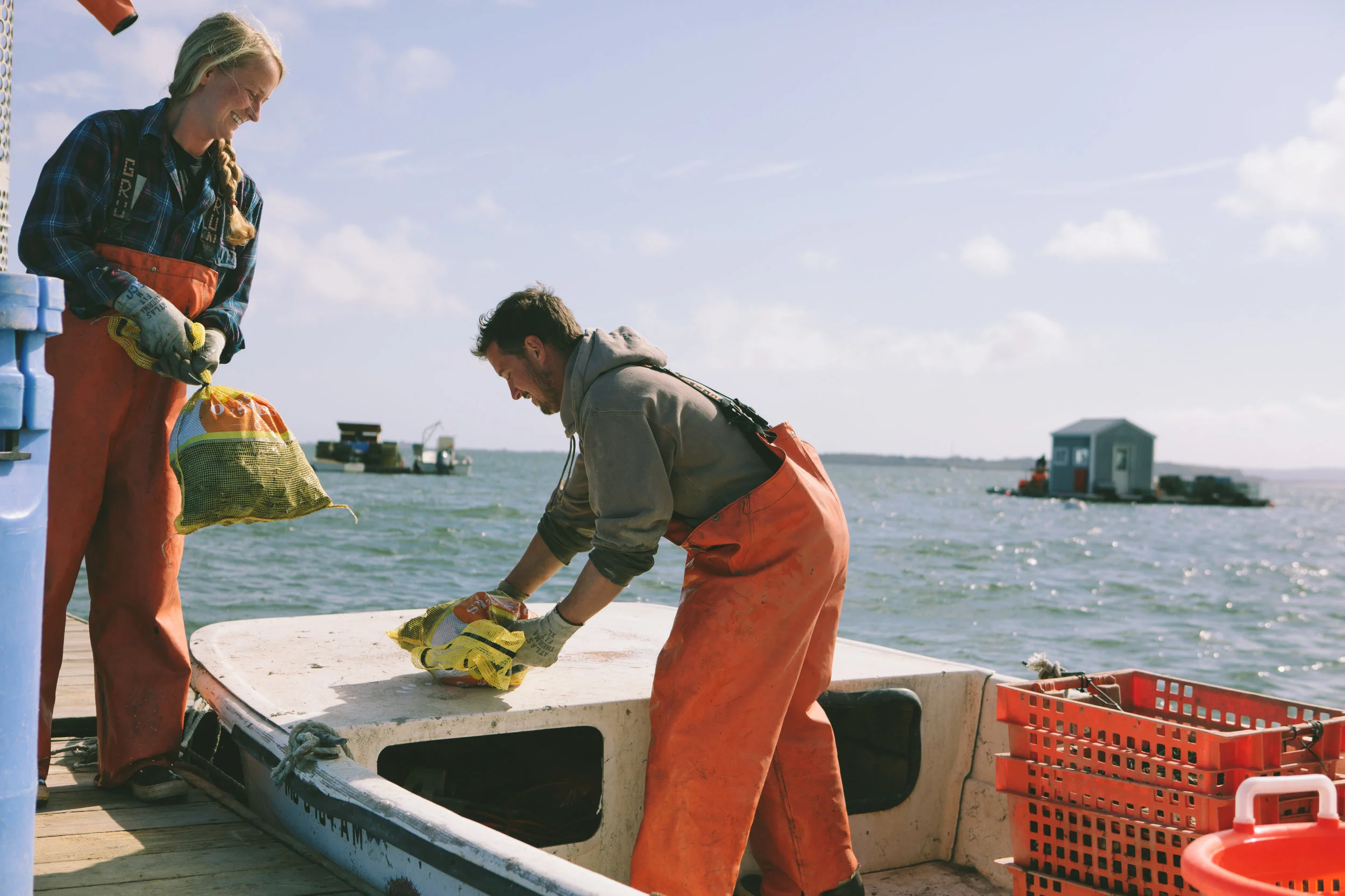 ISLAND CREEK OYSTER FARM_OCTOBER 2016-9957.jpg