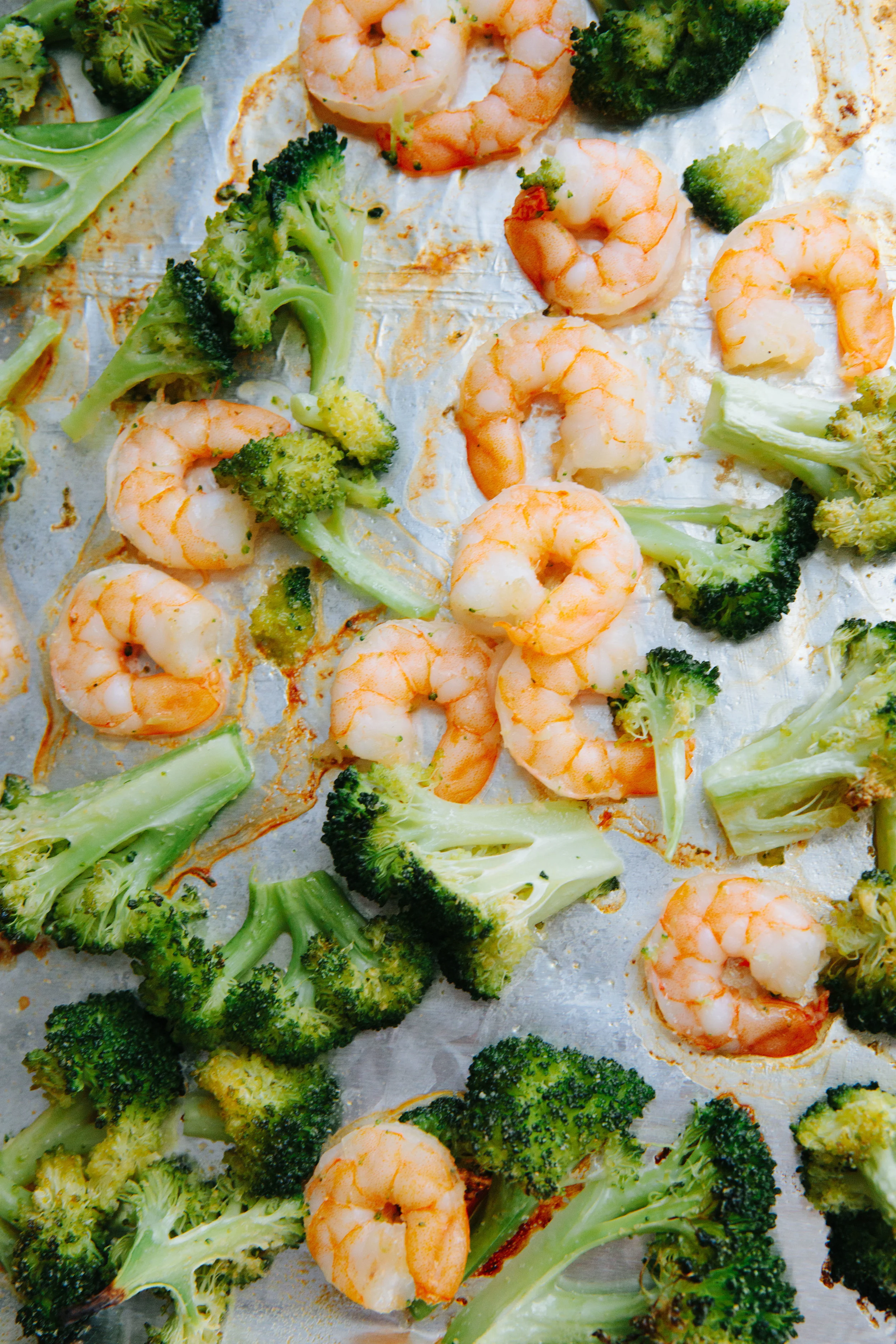 Creamy Penne with Shrimp and Broccoli — A Thought For Food