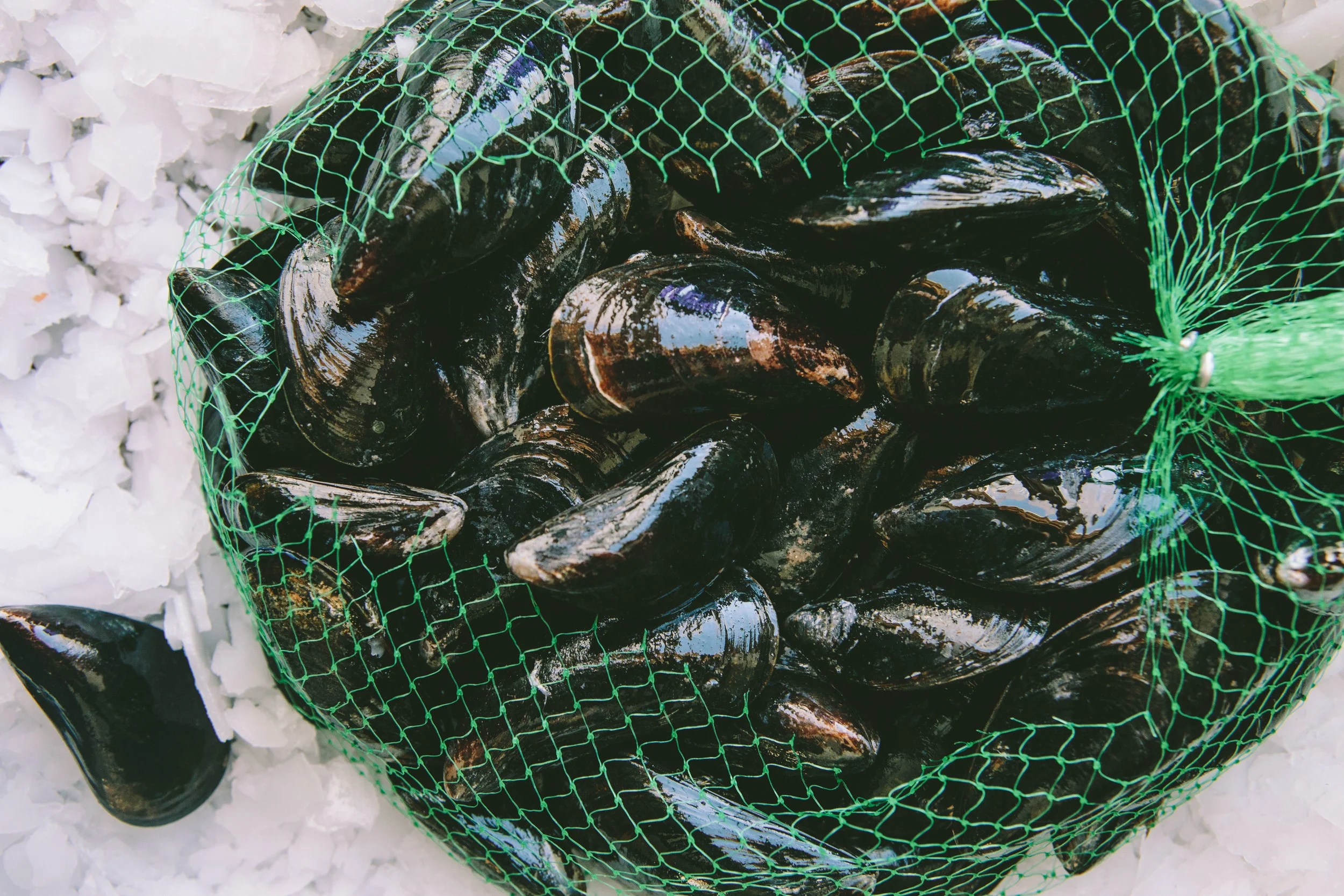 MUSSELS-2892.jpg