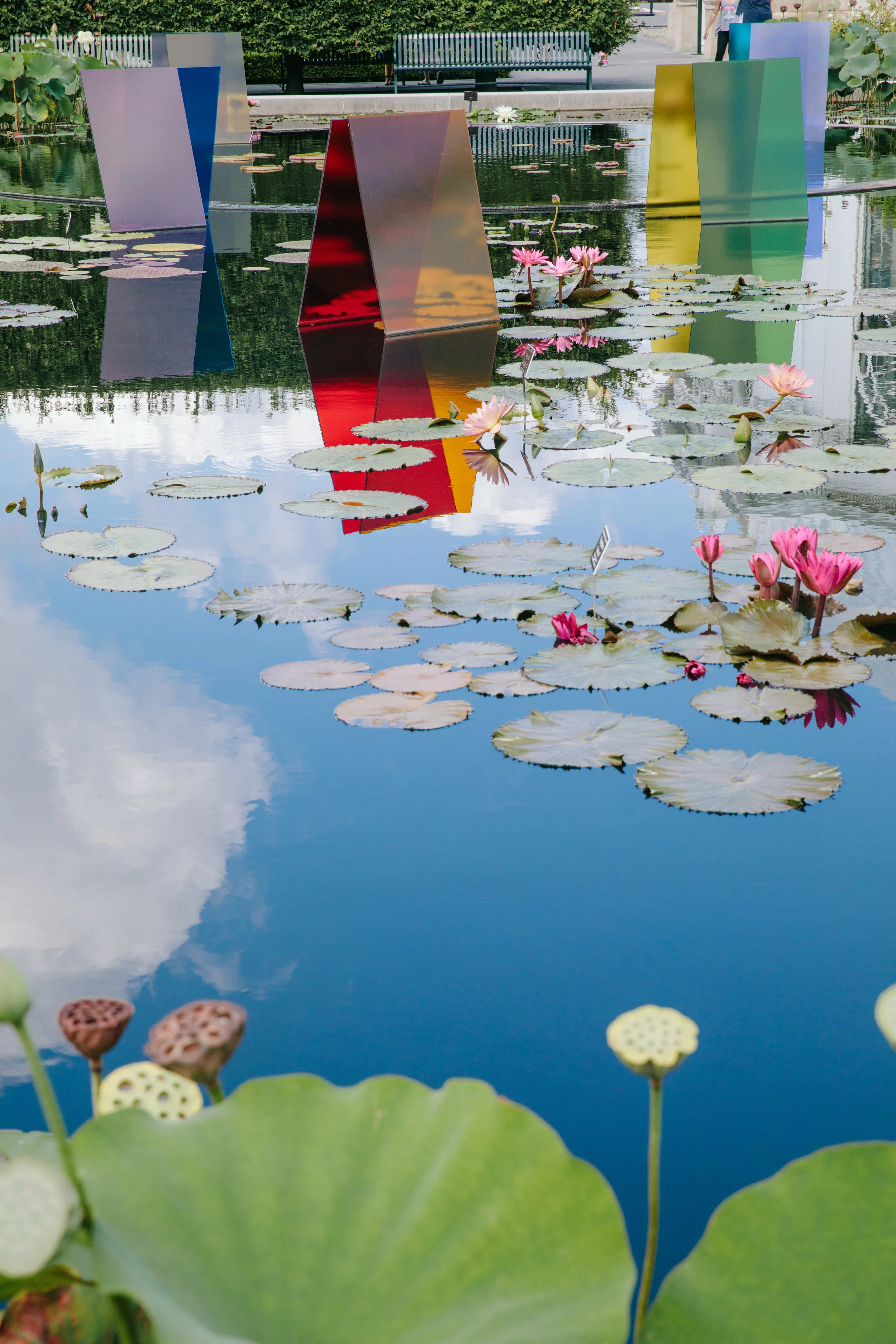 CHIHULY NY BOTANICAL GARDEN_BRIAN SAMUELS_AUGUST 2017-7189.jpg
