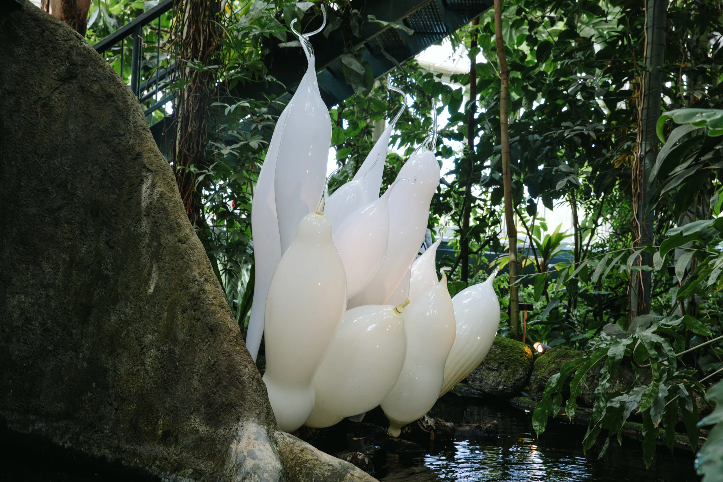 CHIHULY NY BOTANICAL GARDEN_BRIAN SAMUELS_AUGUST 2017-7156.jpg