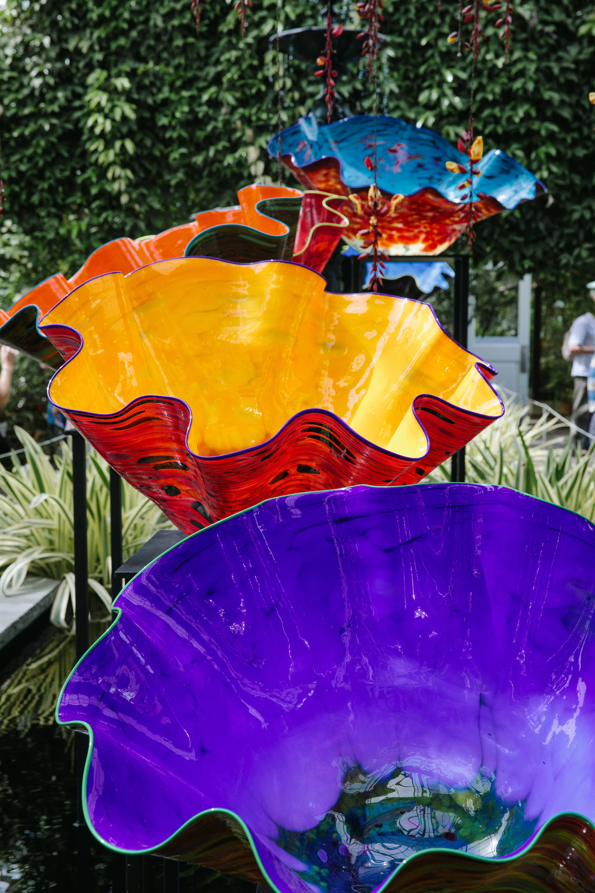 CHIHULY NY BOTANICAL GARDEN_BRIAN SAMUELS_AUGUST 2017-7160.jpg