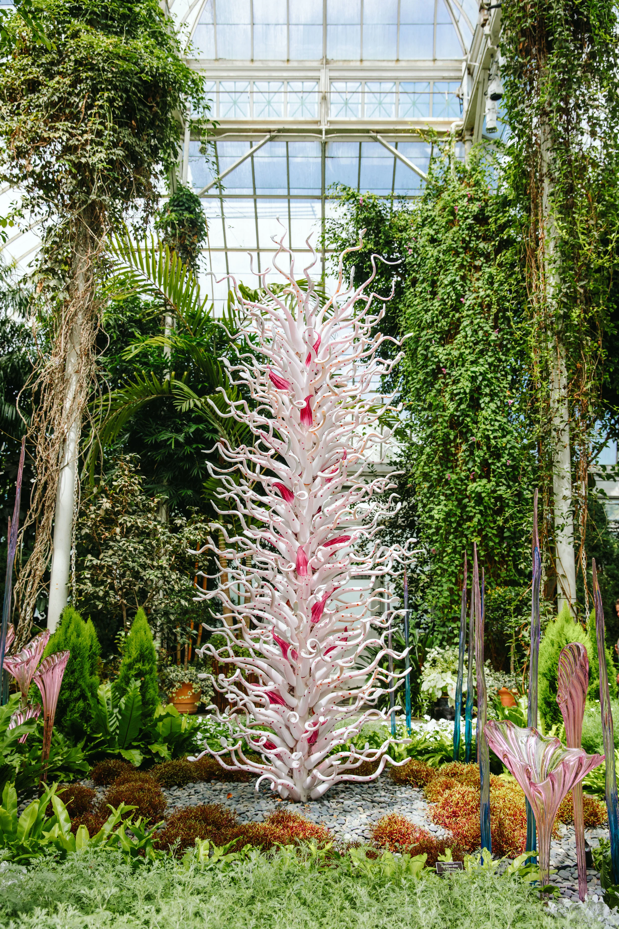 CHIHULY NY BOTANICAL GARDEN_BRIAN SAMUELS_AUGUST 2017-7285.jpg
