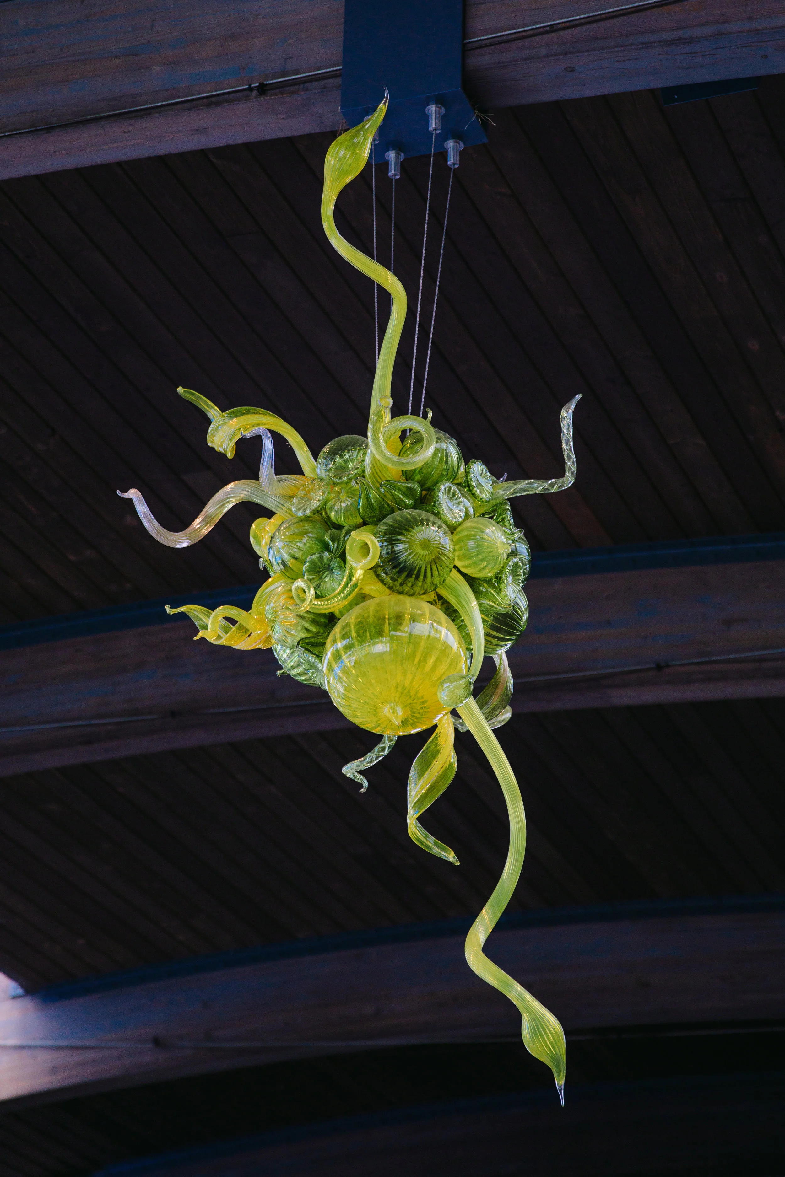 CHIHULY NY BOTANICAL GARDEN_BRIAN SAMUELS_AUGUST 2017-7097.jpg