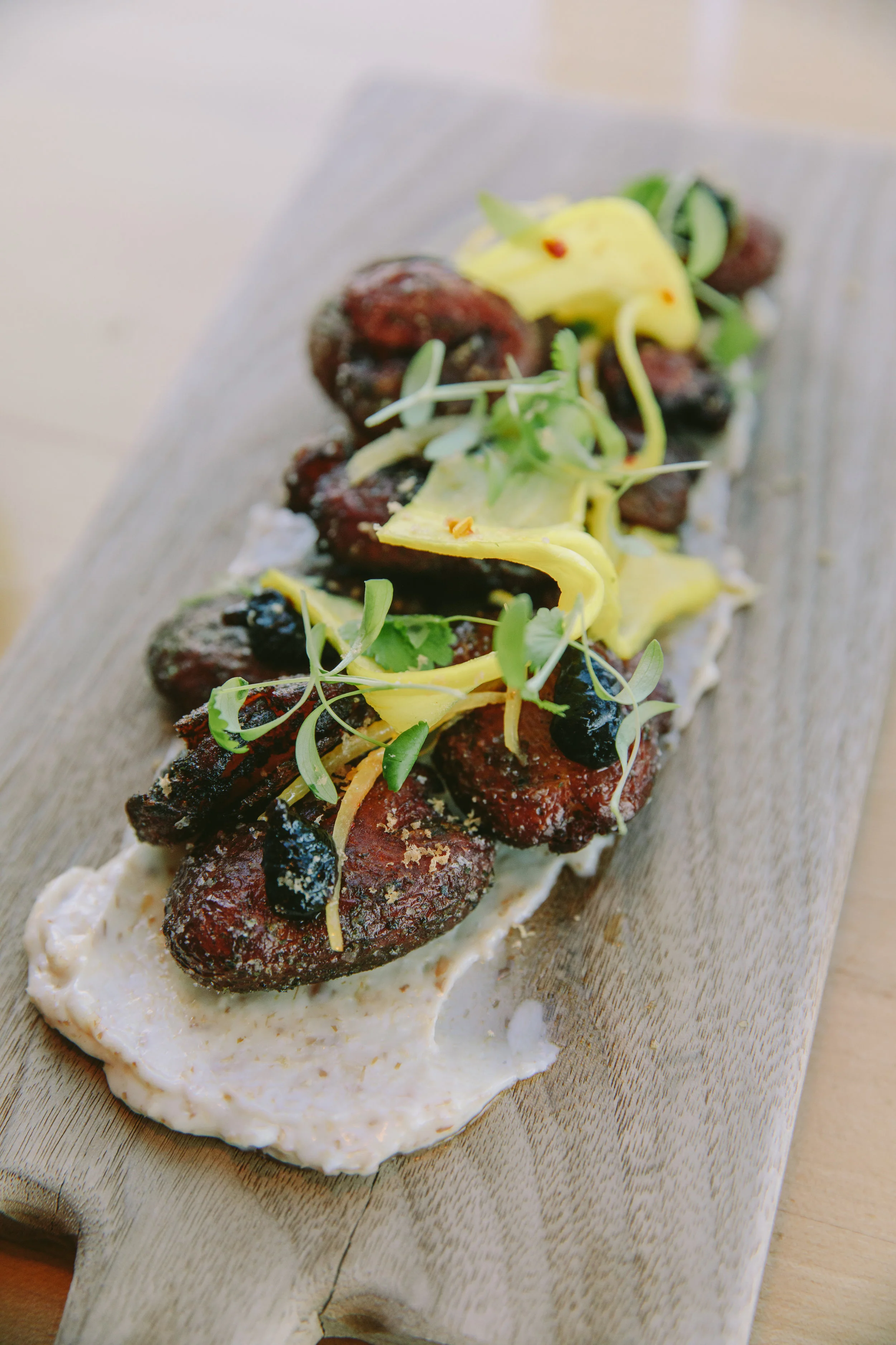 Silent Sunday The Honey Paw (Portland, ME) — A Thought For Food