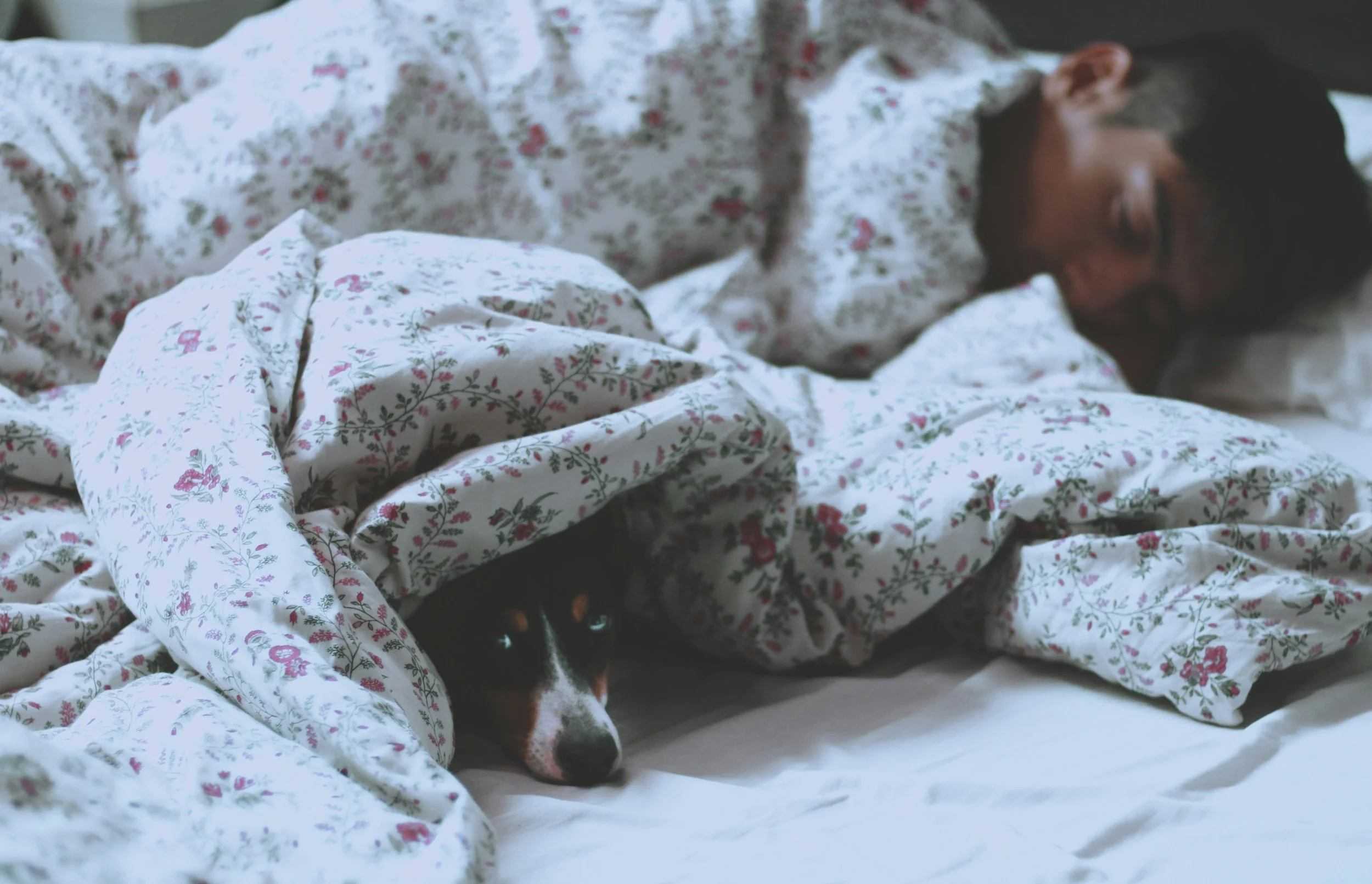 What Winter Mornings Reveal About Your Relationship with Discipline