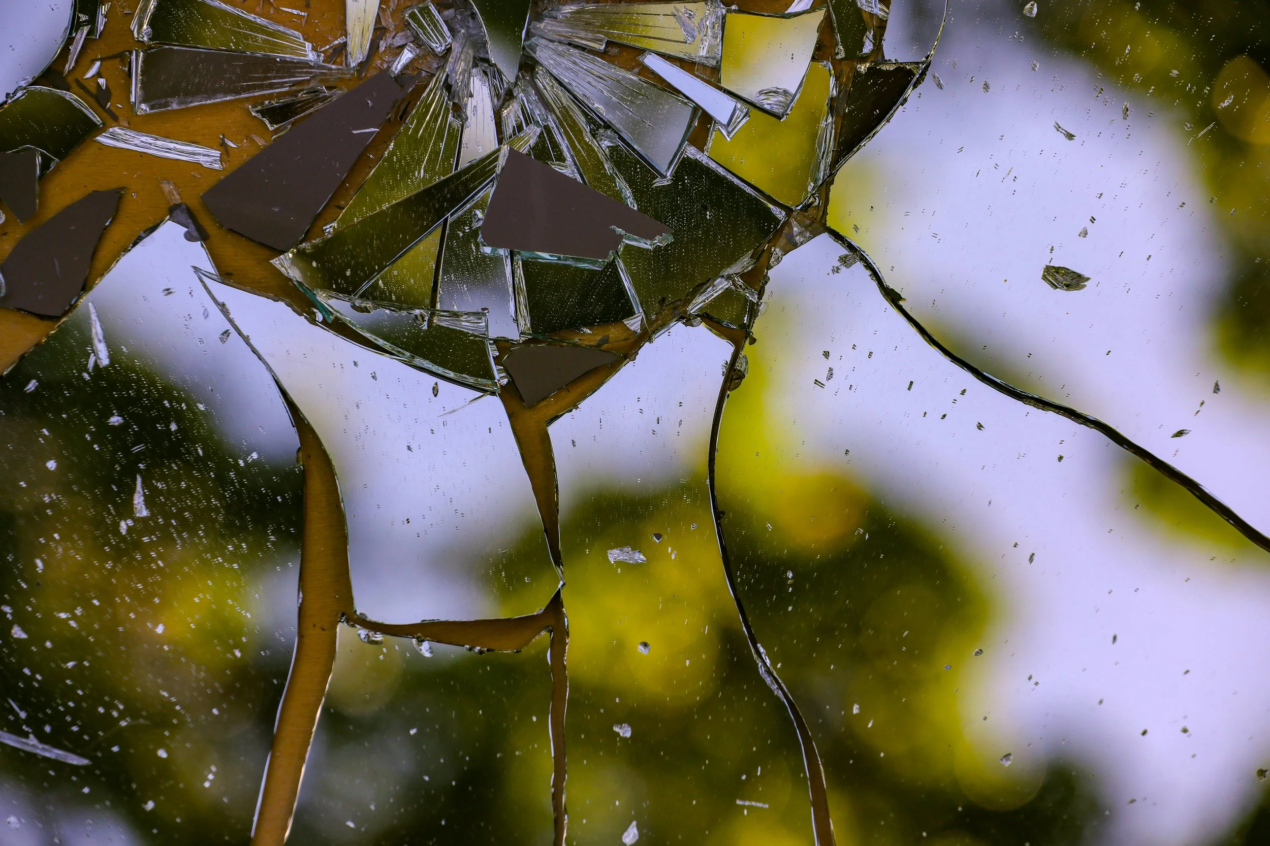 Lessons in Leadership: Rigid Plans Are Fragile Plans