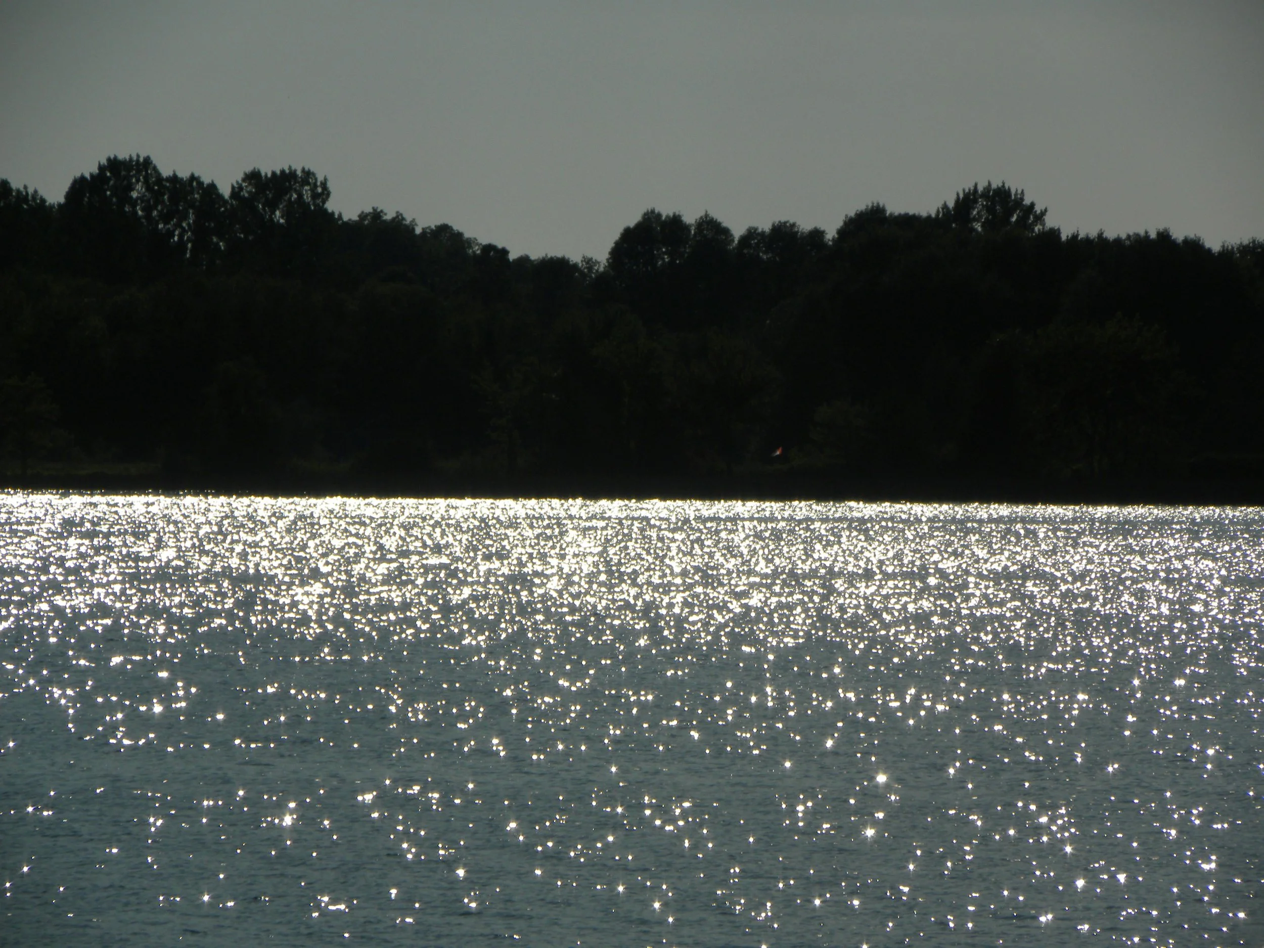 Mindful Monday: Peace Is Possible