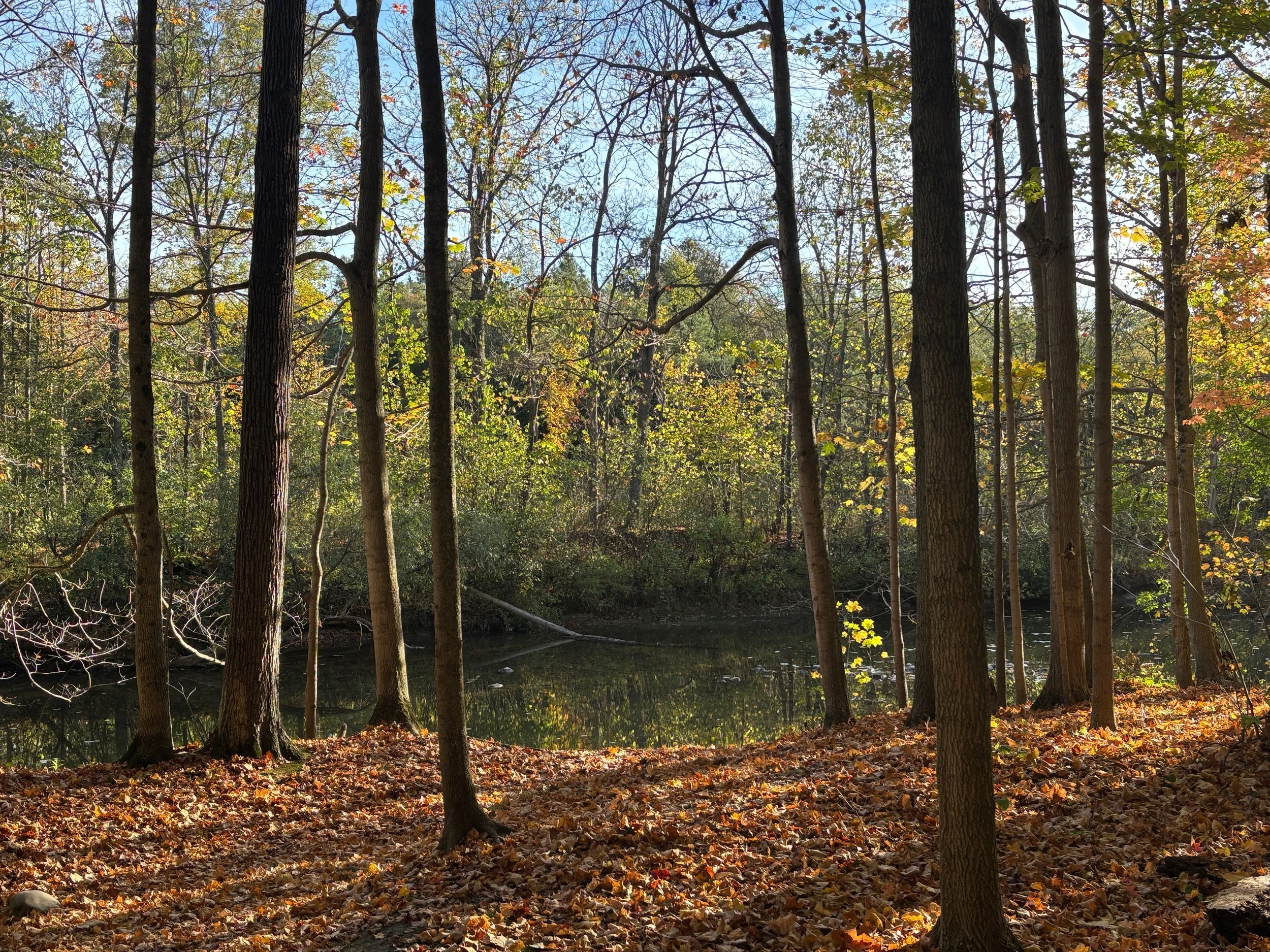 Mindful Monday: The Art of Slowing Down