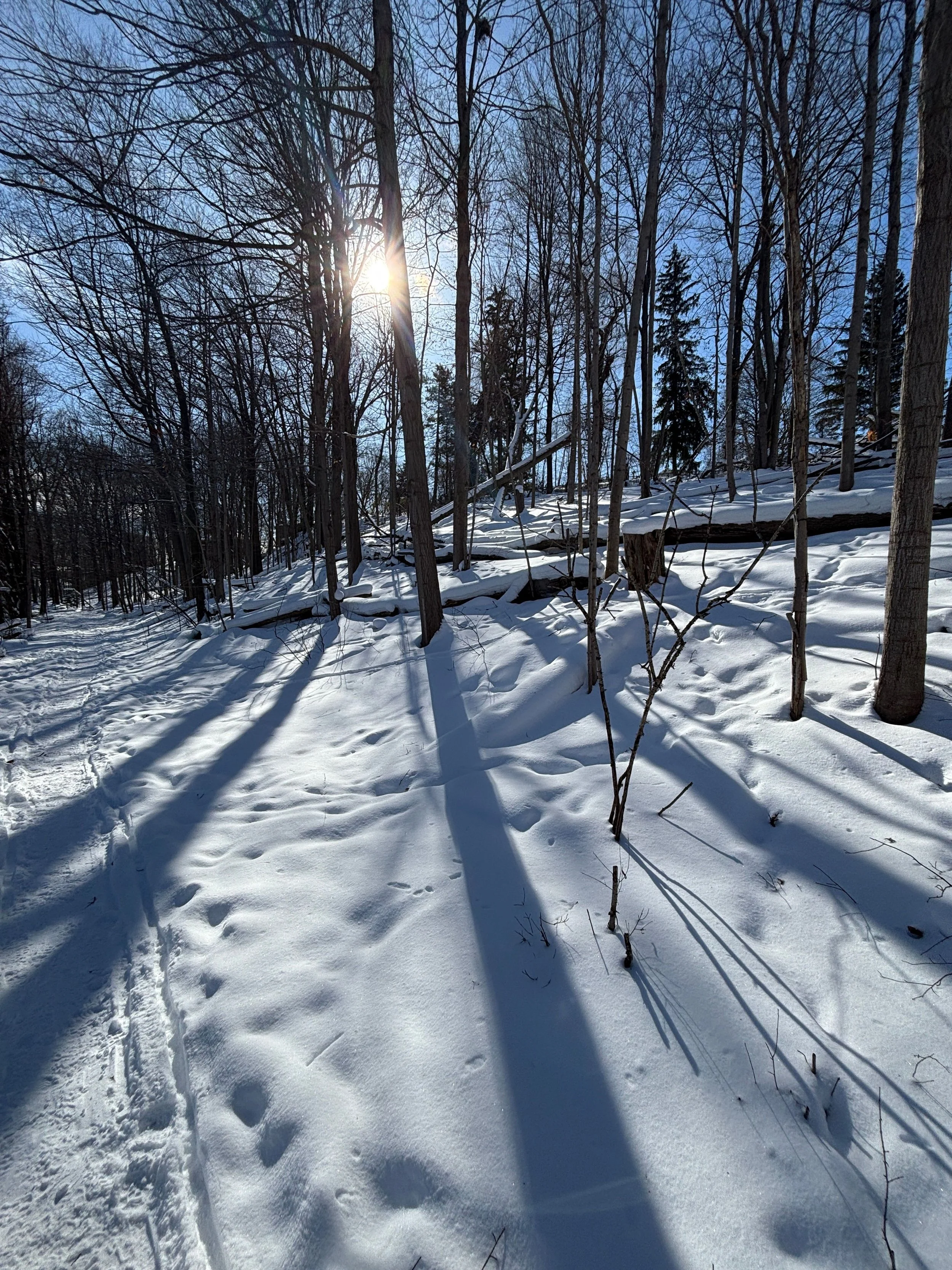 A Winter Walk + Global Prayer