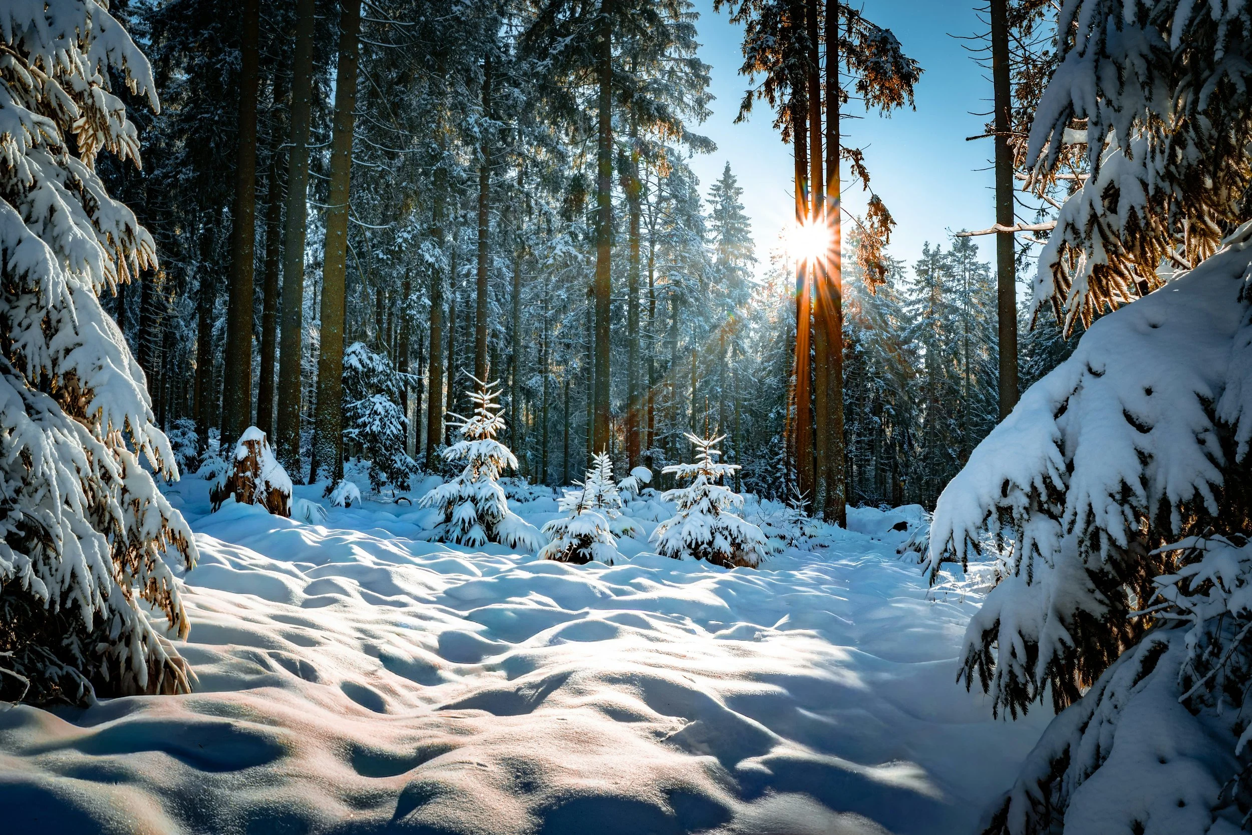 Weekend Silent Retreat