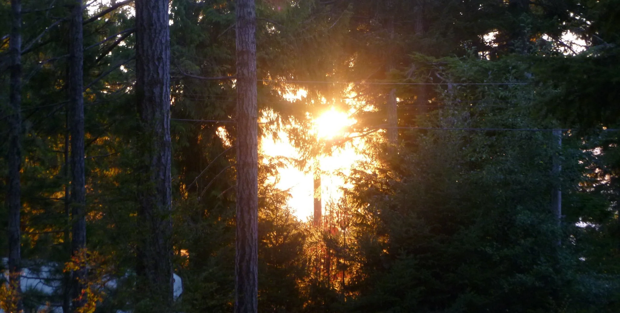 Heart Sunset.jpg