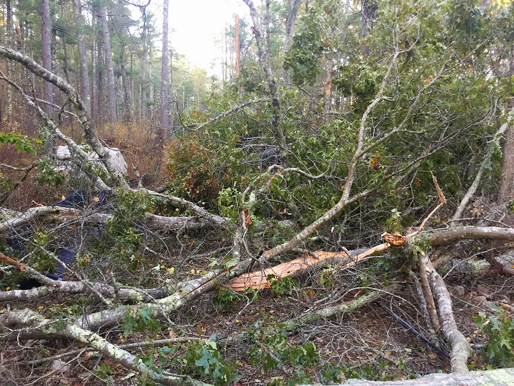 53e16-poledamage_5.jpg