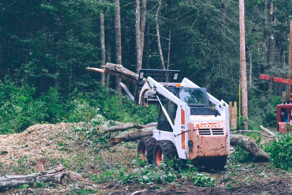 62f99-090518_treecutting_17.jpg