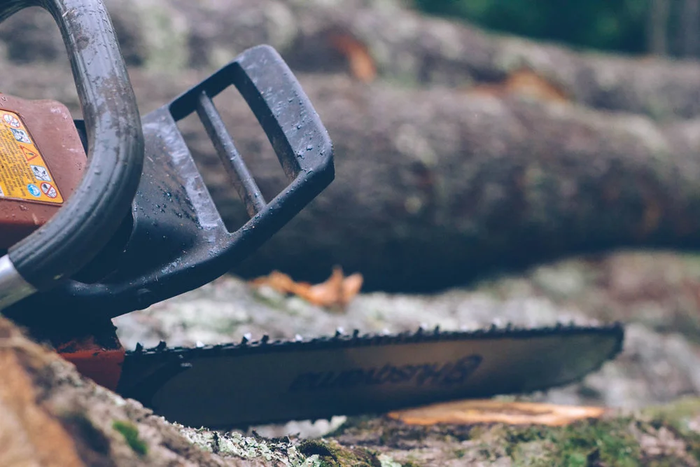 cee76-090518_treecutting_14.jpg