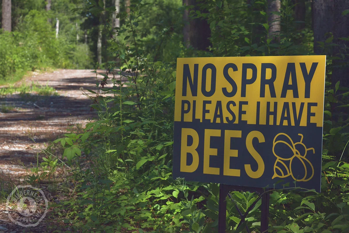 Hive_July10_8.jpg